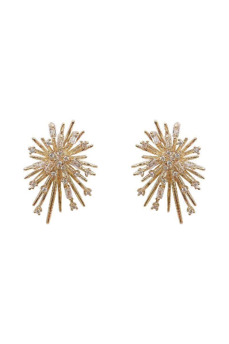Zircon Fireworks Earrings Electroplated Exquisite Earrings 629289761561