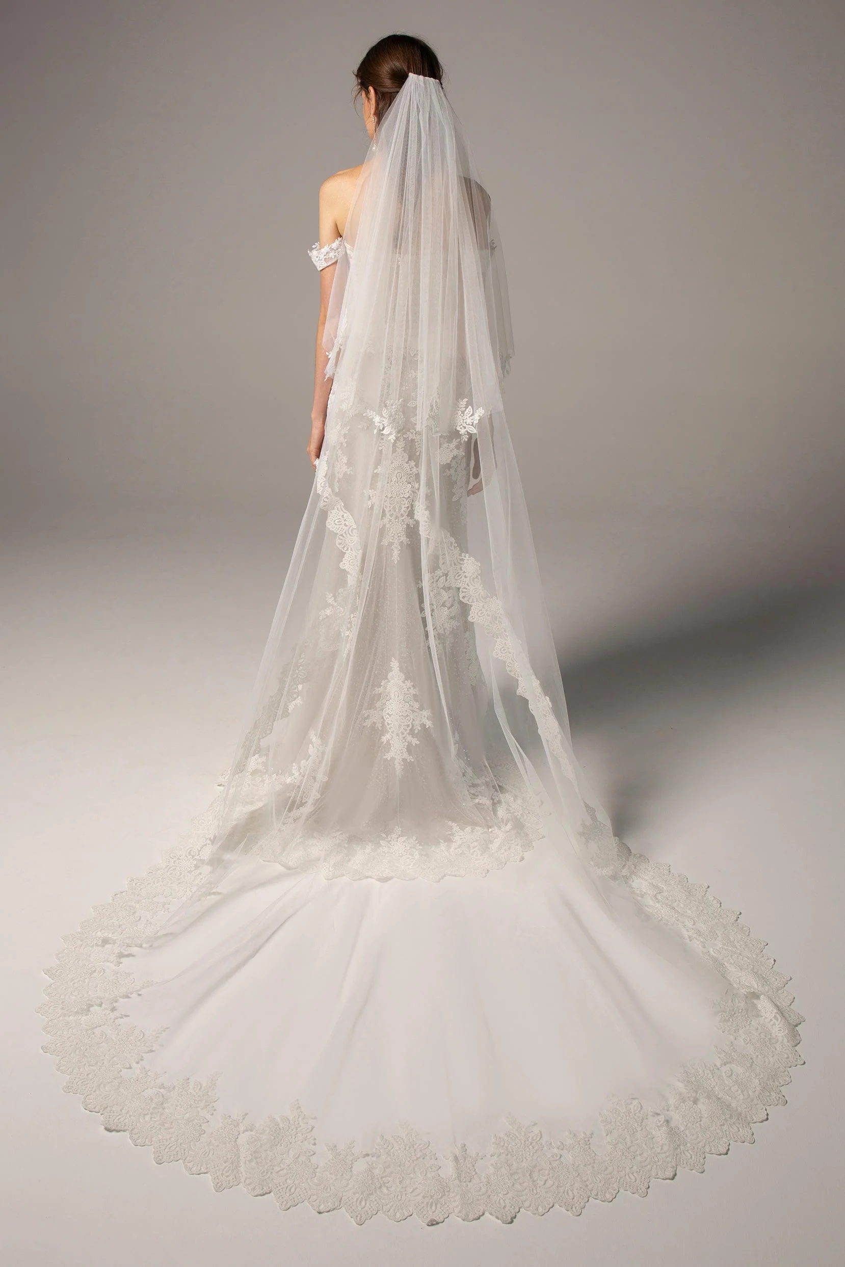 Two-tier Lace Edge Tulle Cathedral Veils Appliques CV0213