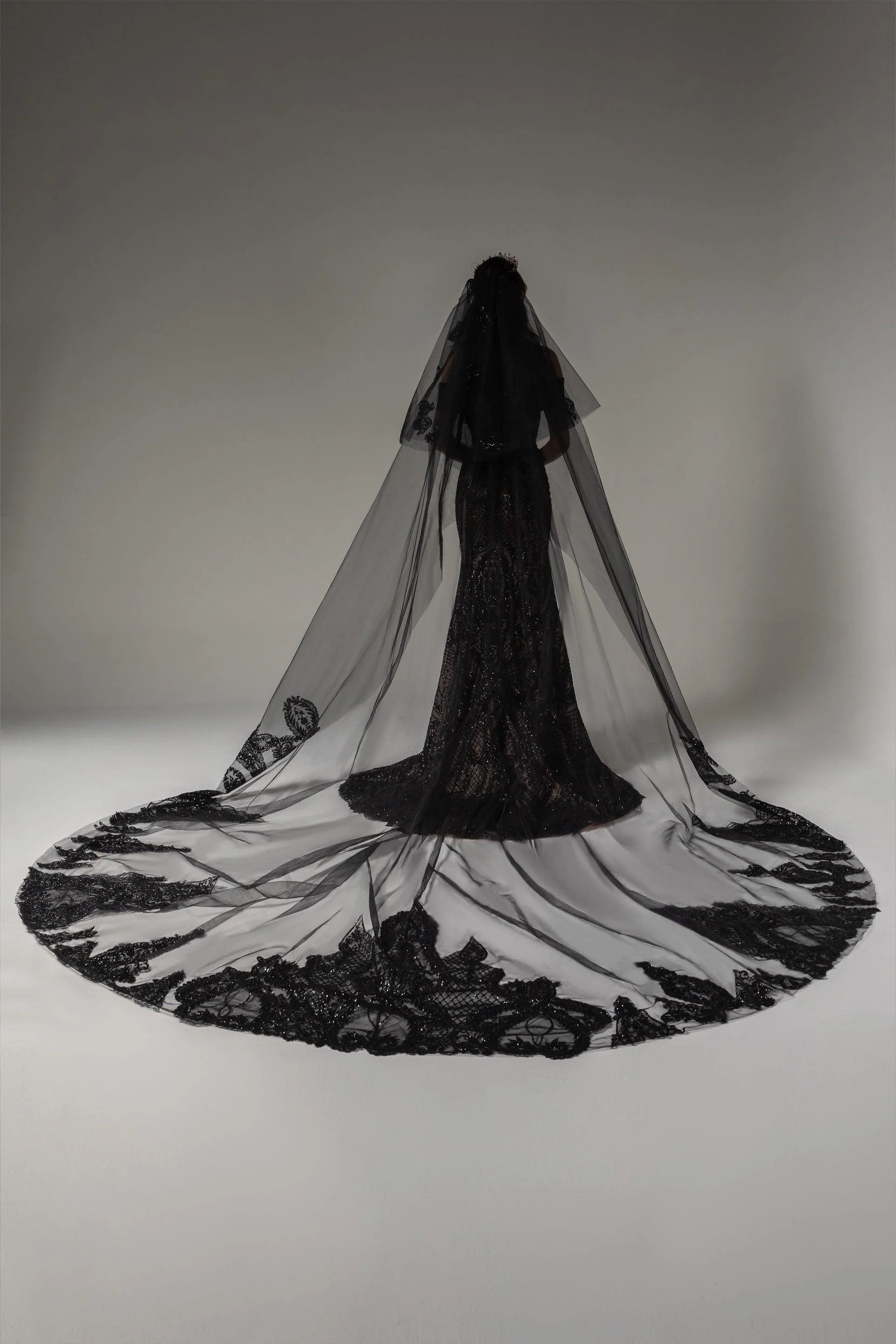 Two-tier Lace Edge Tulle Lace Cathedral Veils with Appliques CV0278