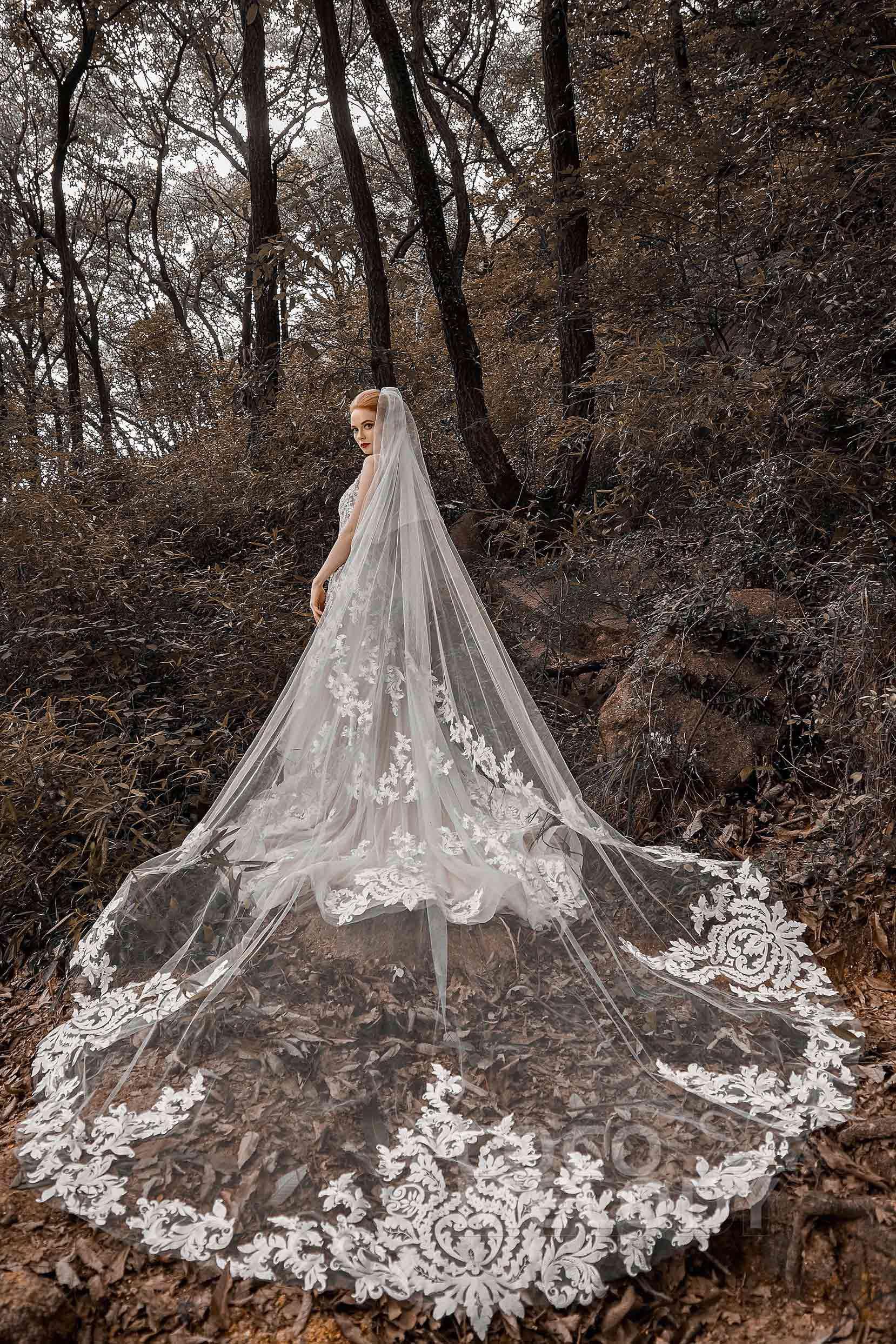 Two-tier Lace Edge Tulle Cathedral Veils Appliques CV0184