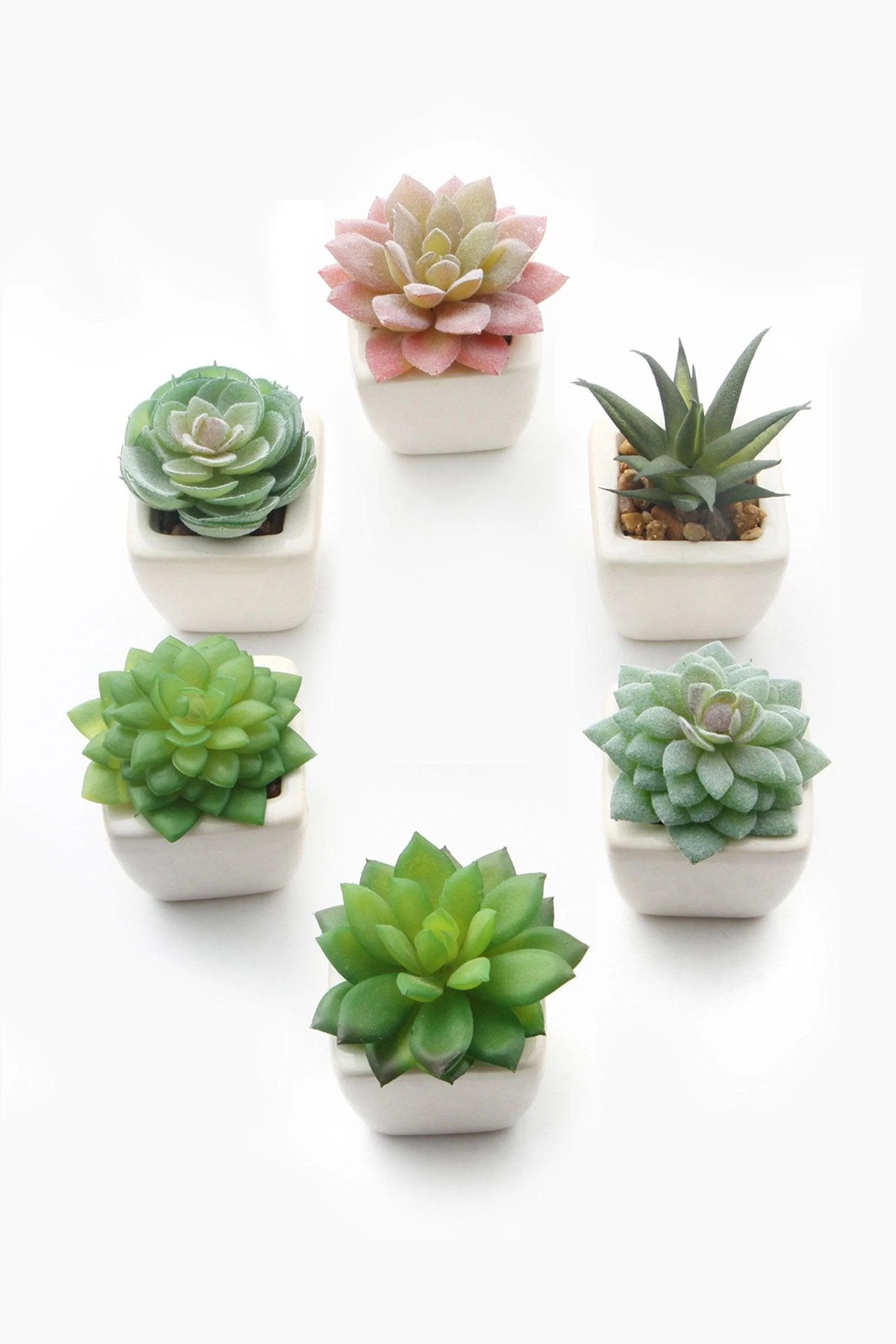 Lifelike Succulent Plant Decor-6 Assortment Pack CGF0197 (Set of 1 pcs)