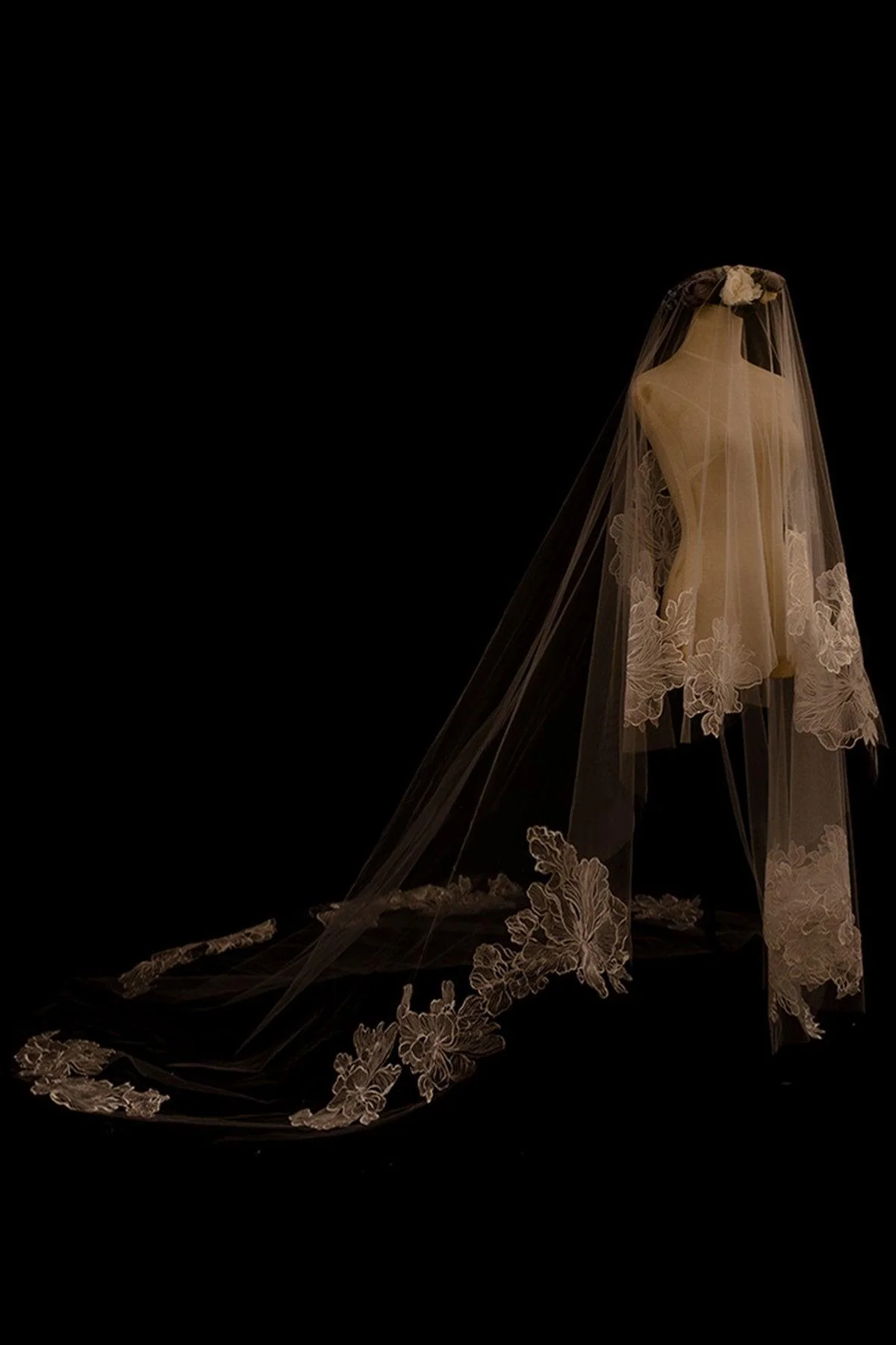 One-tier Lace Edge Tulle Lace Cathedral Veils with CV0349