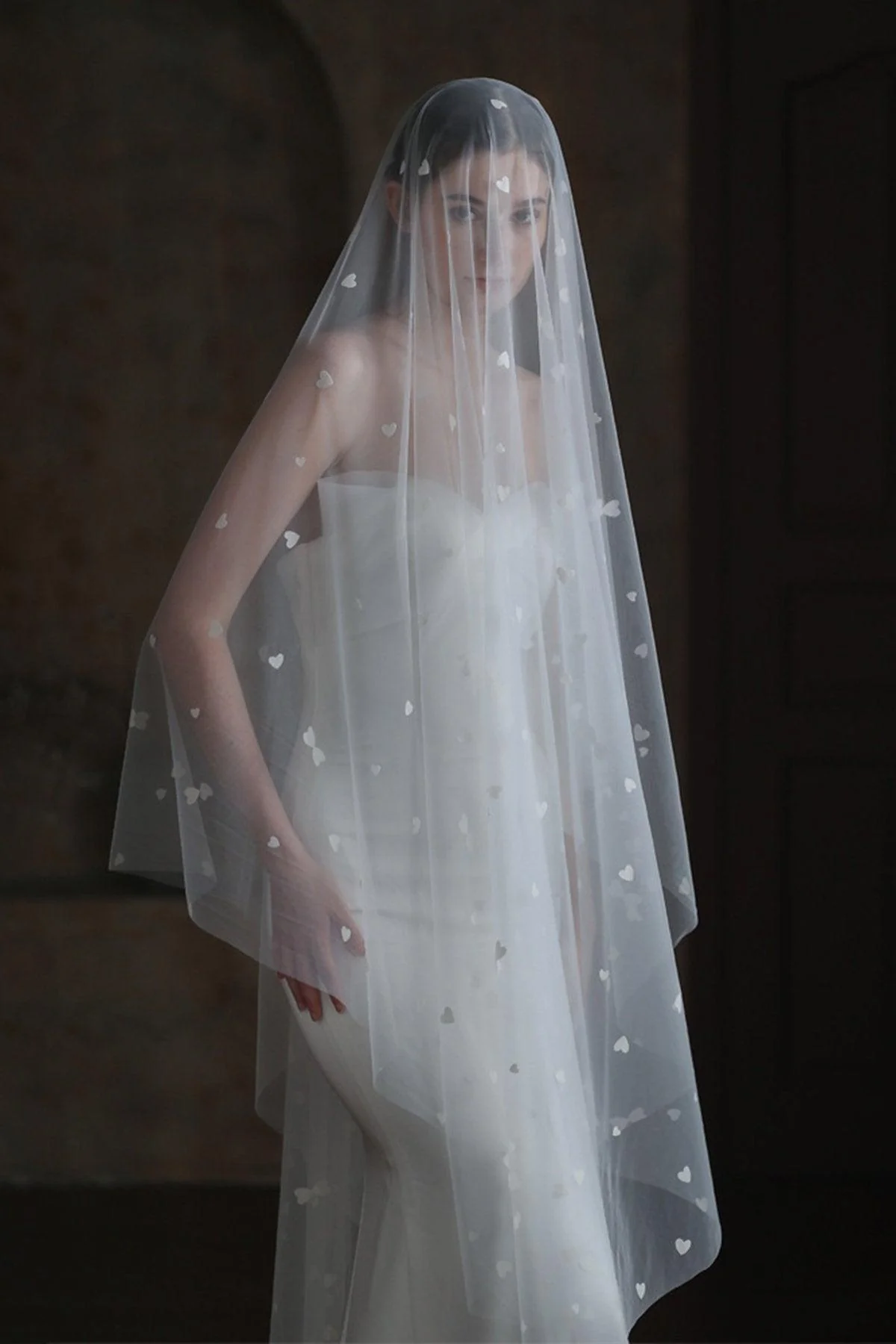 One-tier Cut Edge Tulle Cathedral Veils with Appliques CV0371