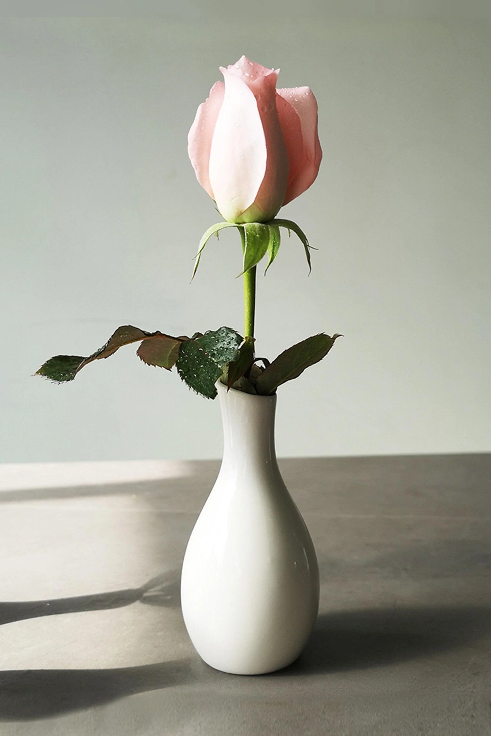 Hand-Painted Ceramic Bud Vases CGF0196