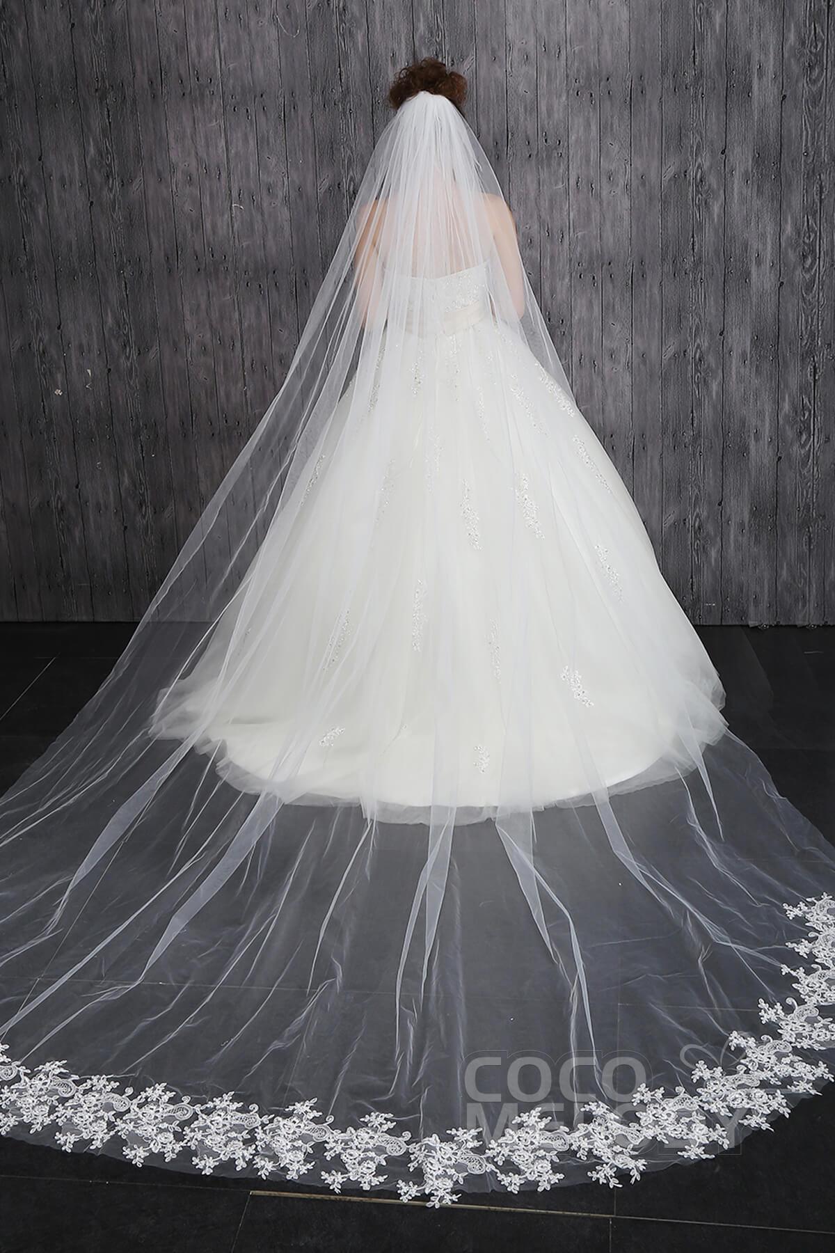 One-tier Lace Edge Tulle Appliques Cathedral Veils CV001500A