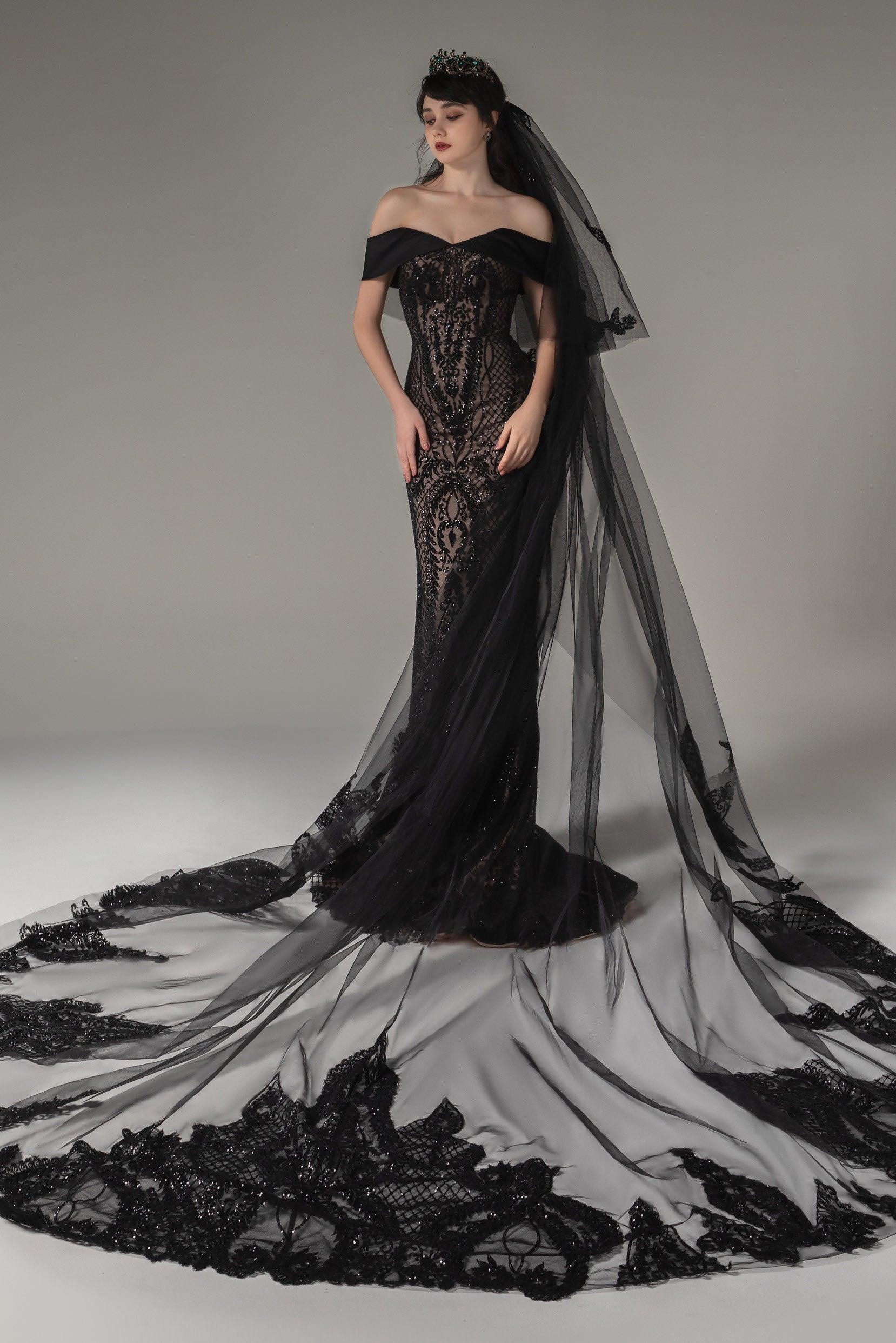Two-tier Lace Edge Tulle Lace Cathedral Veils with Appliques CV0278