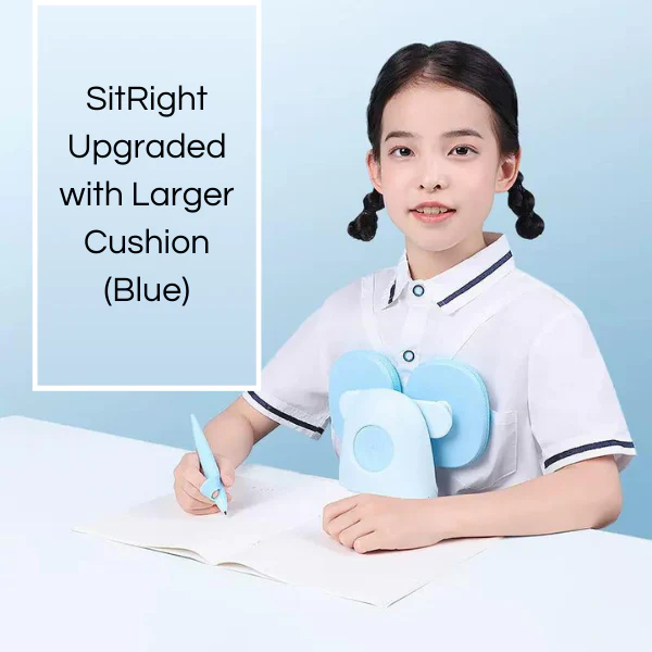 SitRight Posture Guide