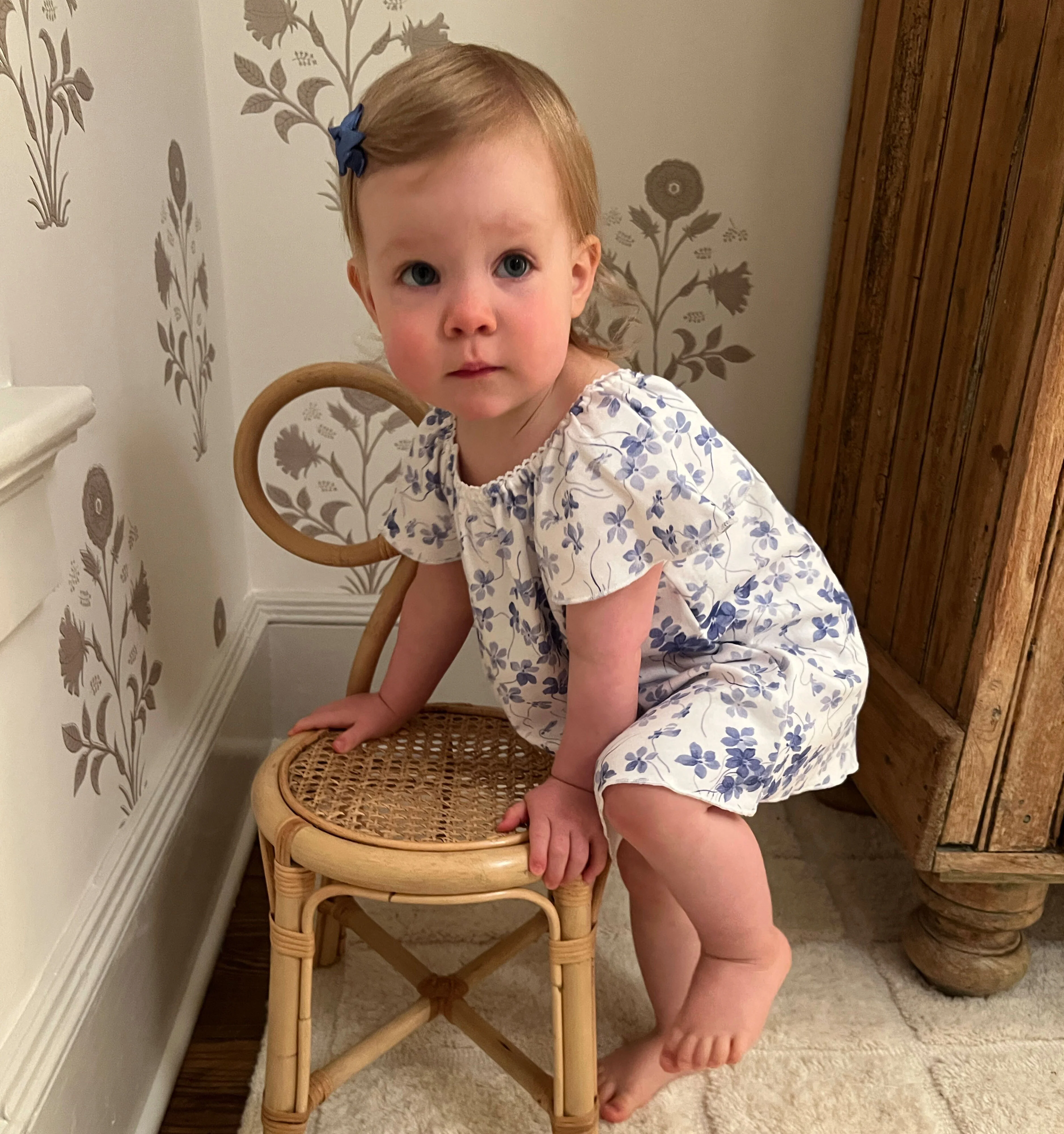 The Baby Keira Dress - Blue Sweet Peas