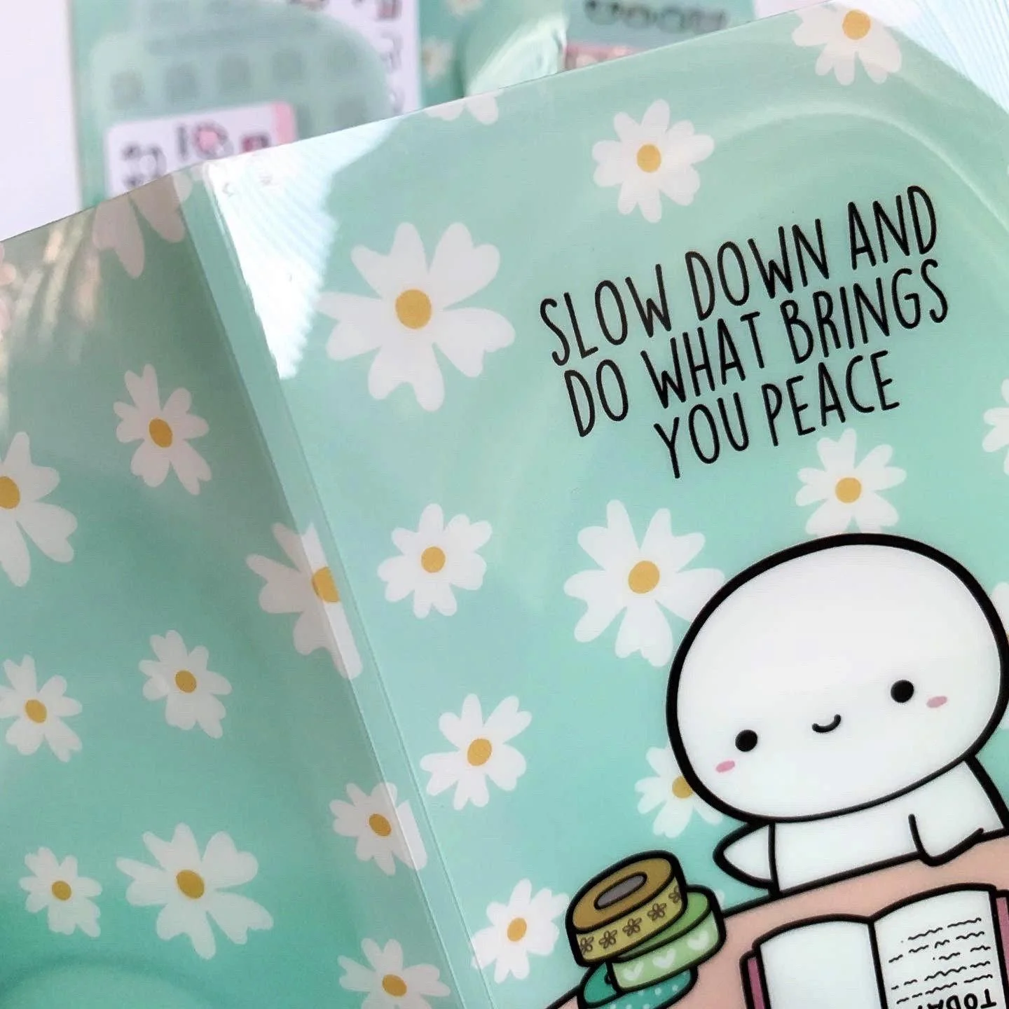 Slow Down - Plastic File Folder