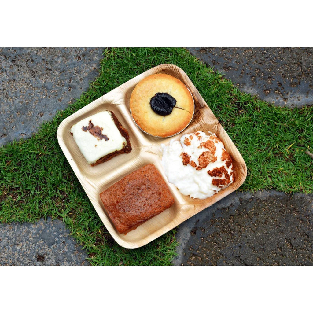 VerTerra Square 3 Compartment Plate 9