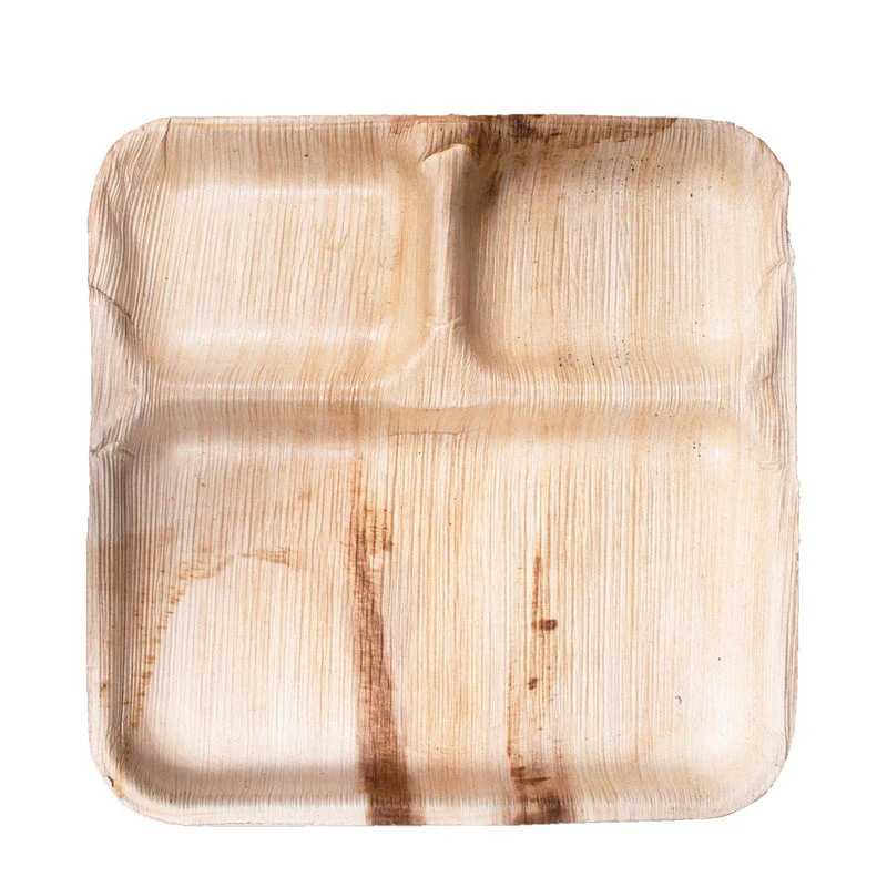 VerTerra Square 2 Compartment Plate 9