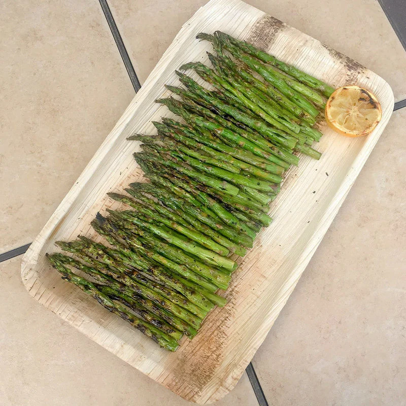 VerTerra Rectangle Tray 10