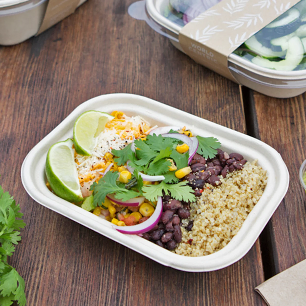 World Centric Compostable Fiber Food Tray - Samples