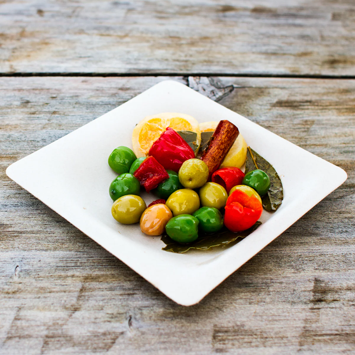 World Centric's Square Plates - Samples