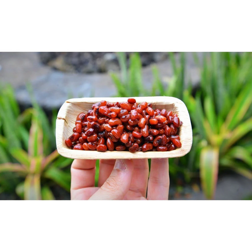 VerTerra Rectangle Mini Tray 2