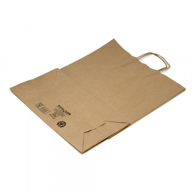 Shopping Bag w/ Handle Sample