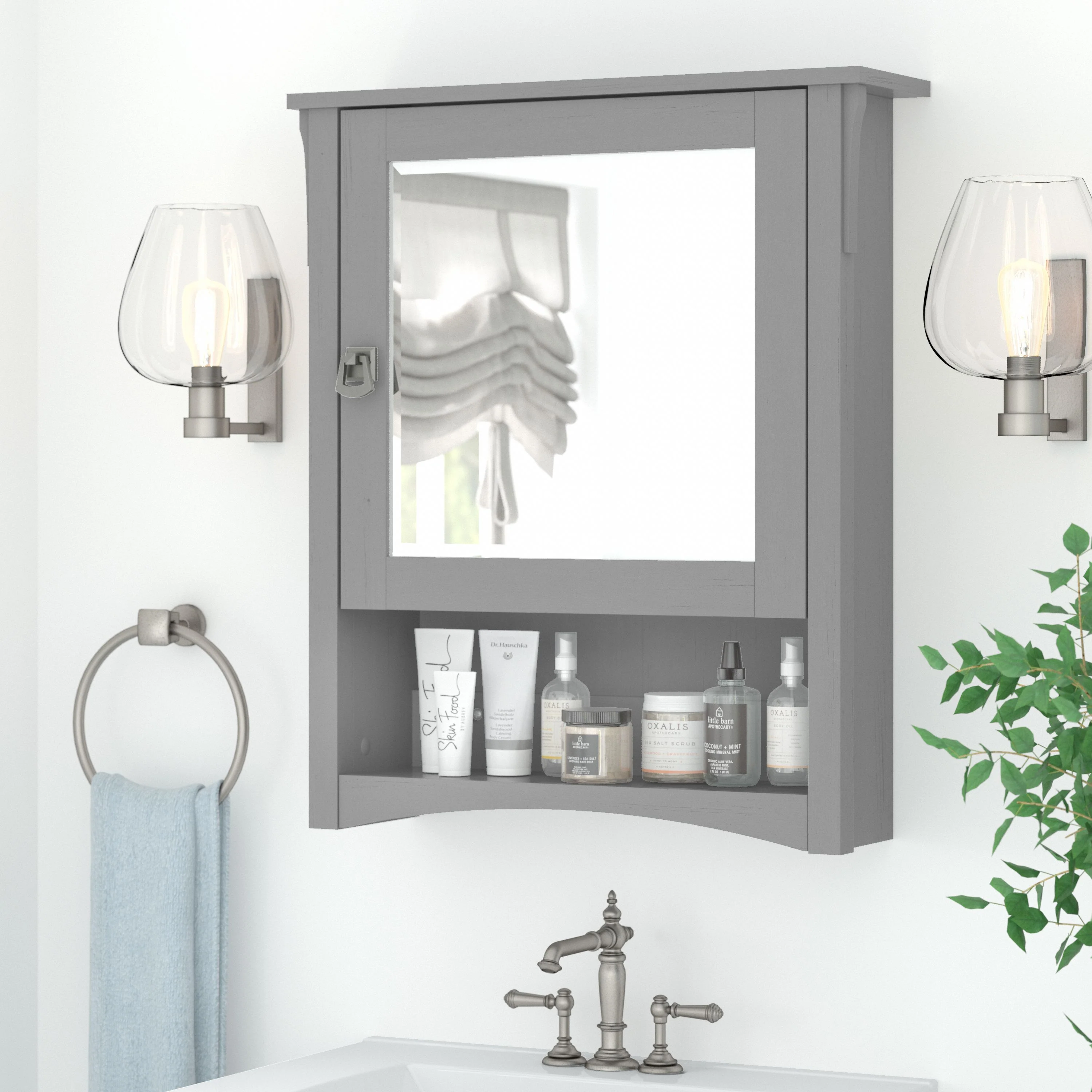 Salinas Bathroom Medicine Cabinet with Mirror