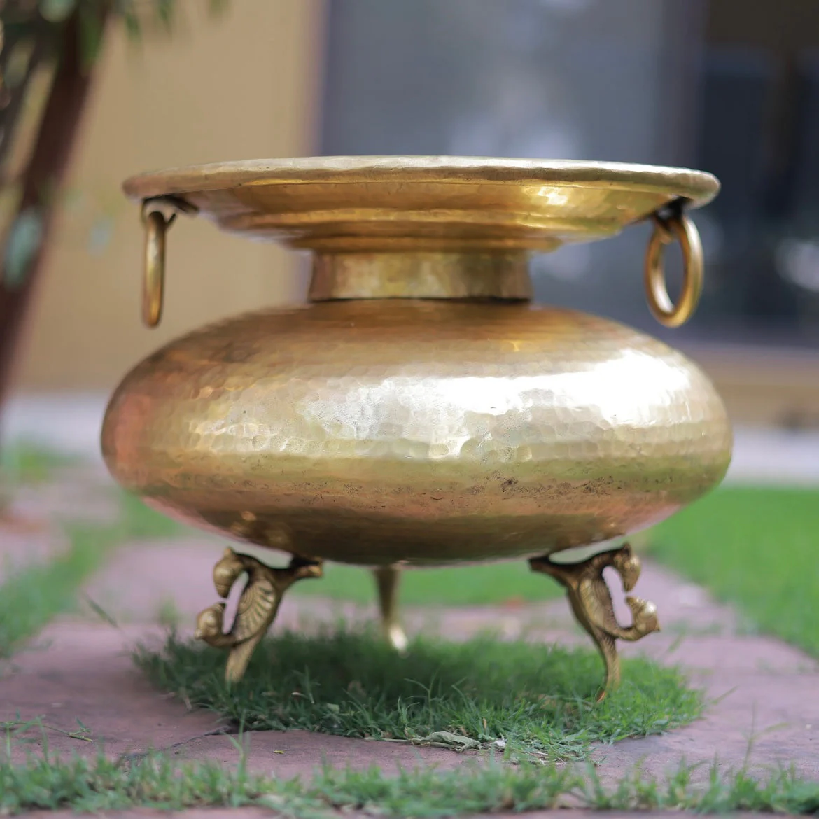 Decorative Brass Flower Pot