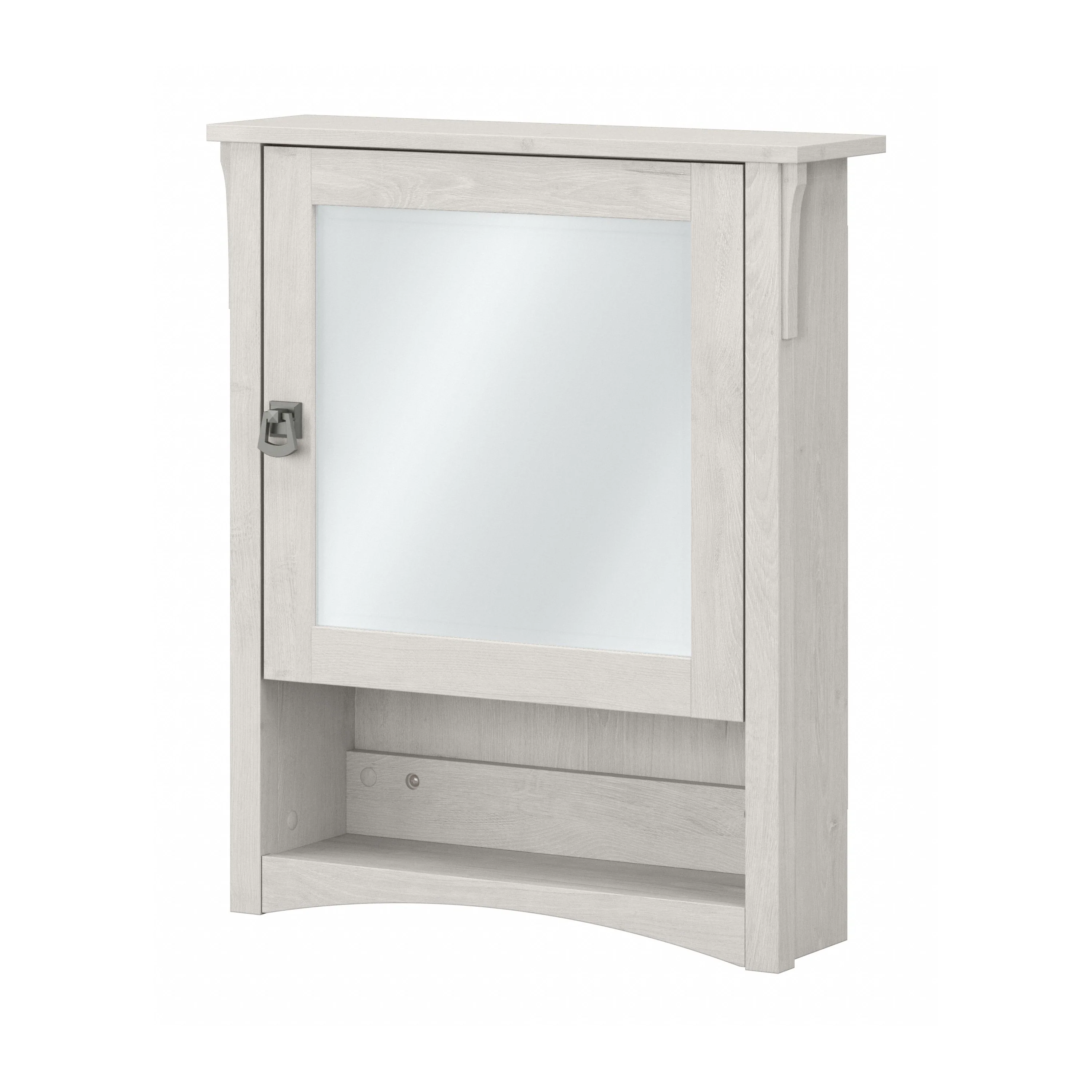 Salinas Bathroom Medicine Cabinet with Mirror