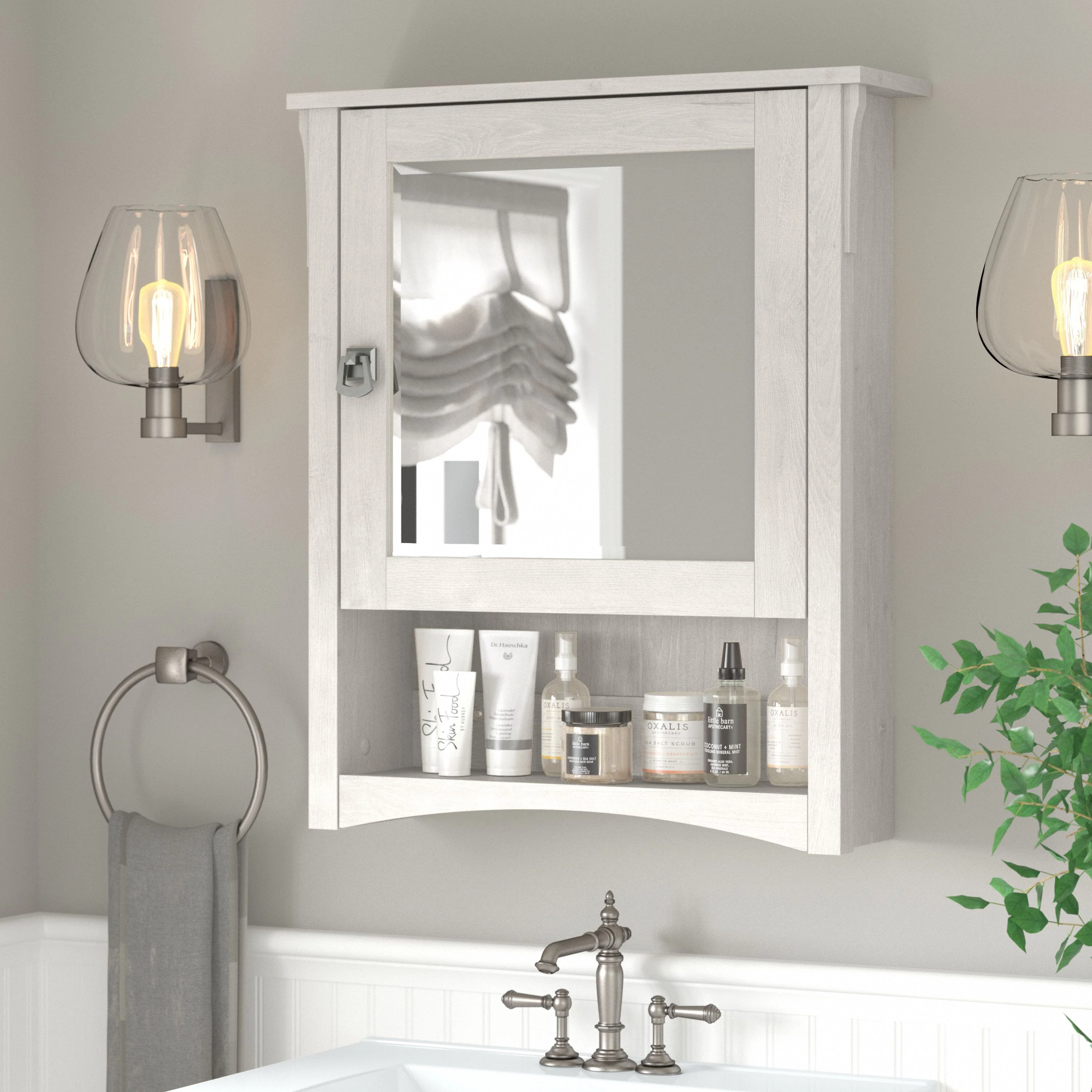Salinas Bathroom Medicine Cabinet with Mirror