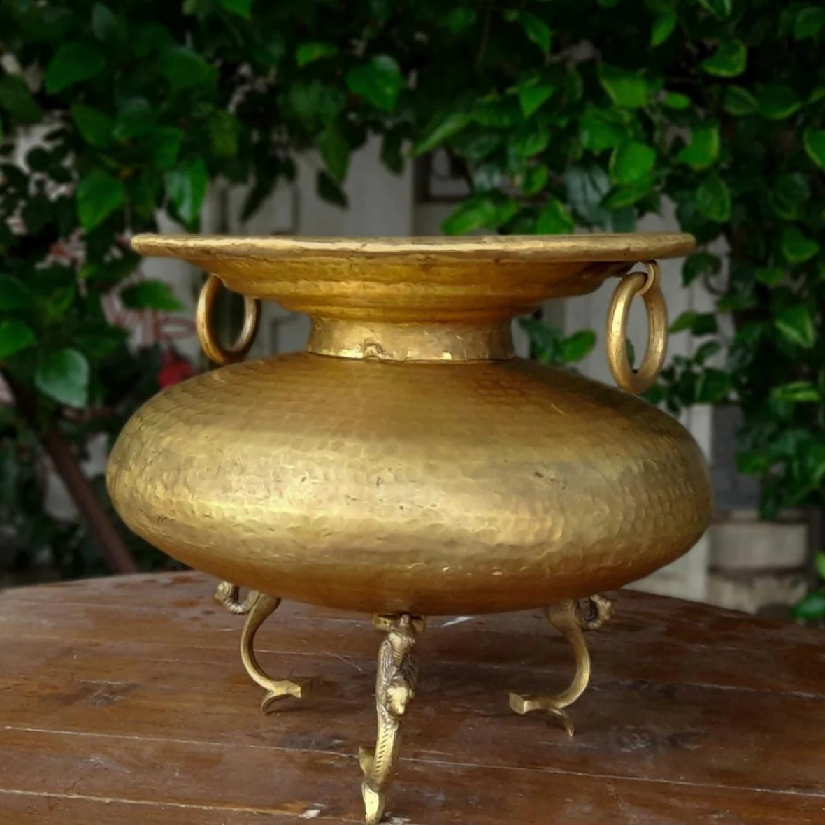 Decorative Brass Flower Pot