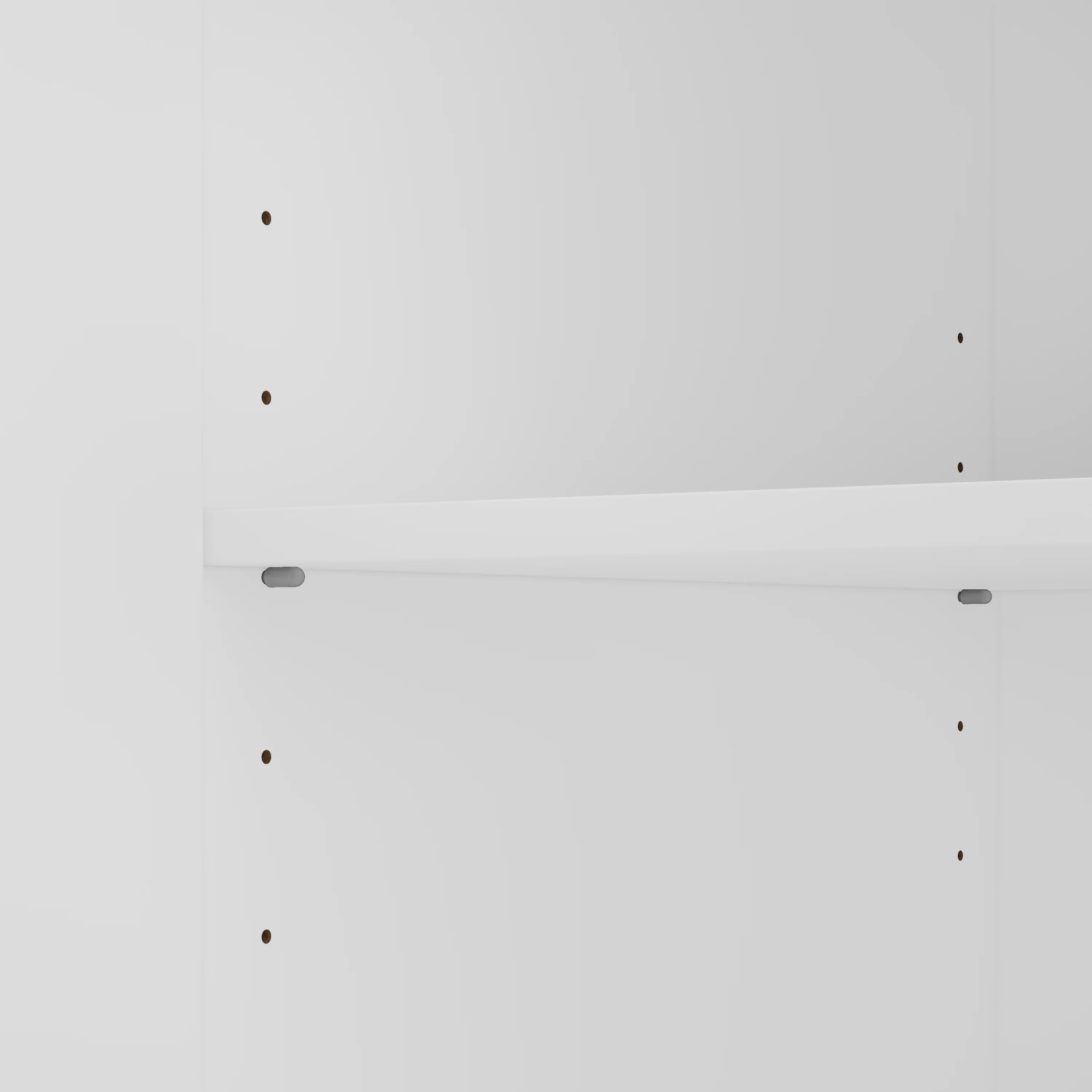 Universal Garage Storage Cabinet with Doors and Shelves