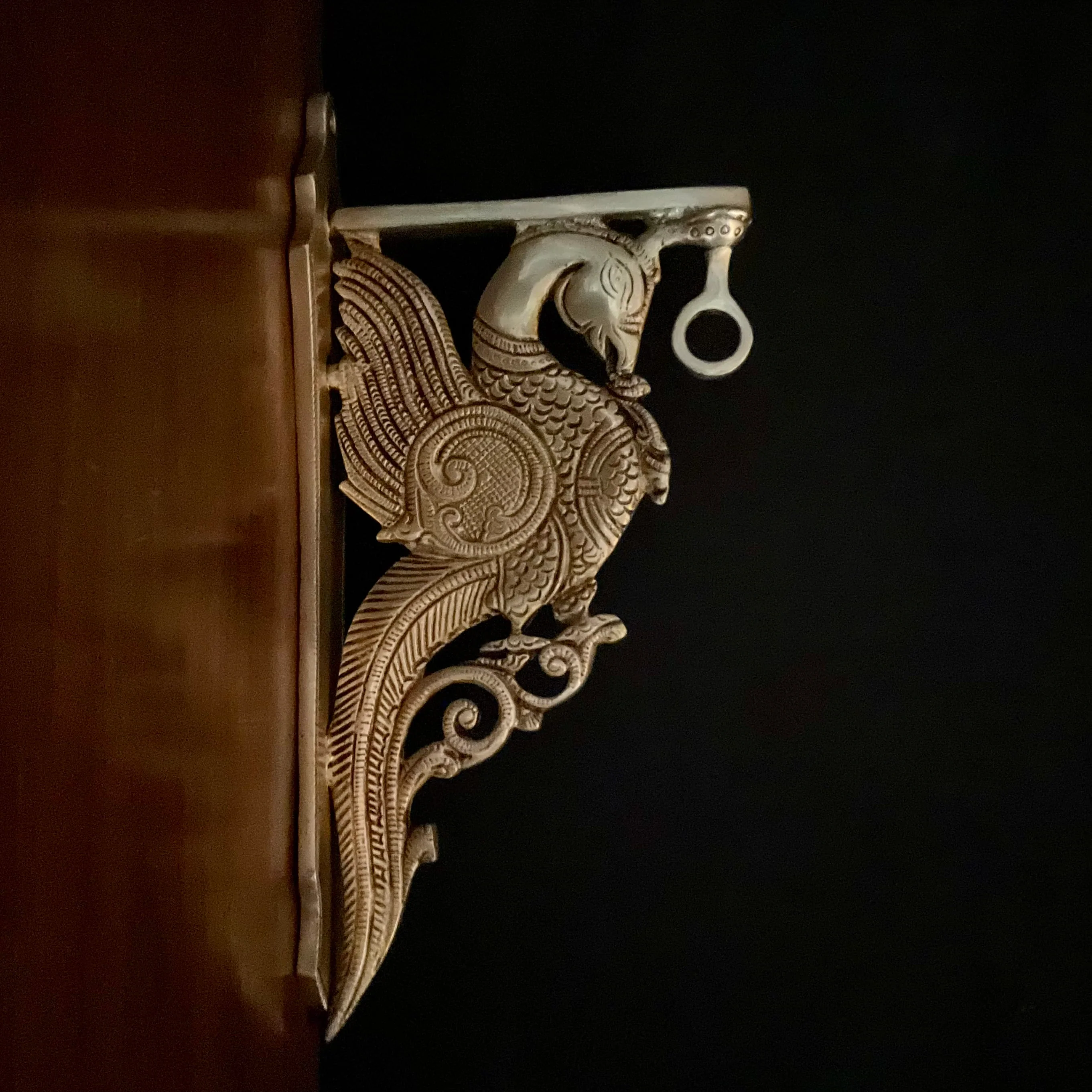 Brass Parrot Brackets Hanger - Holder  (Set of 2)