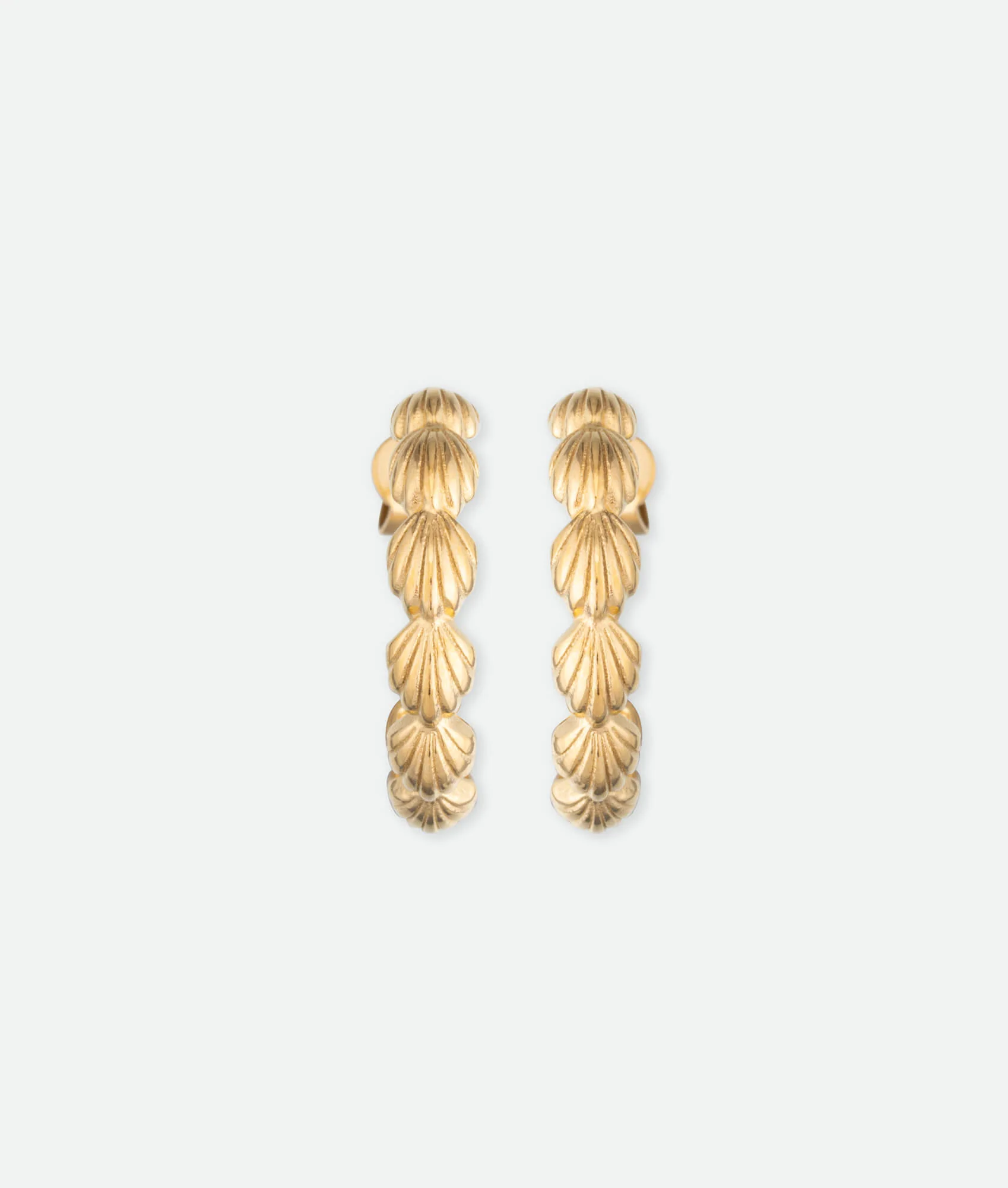 Shell Hoop Earrings