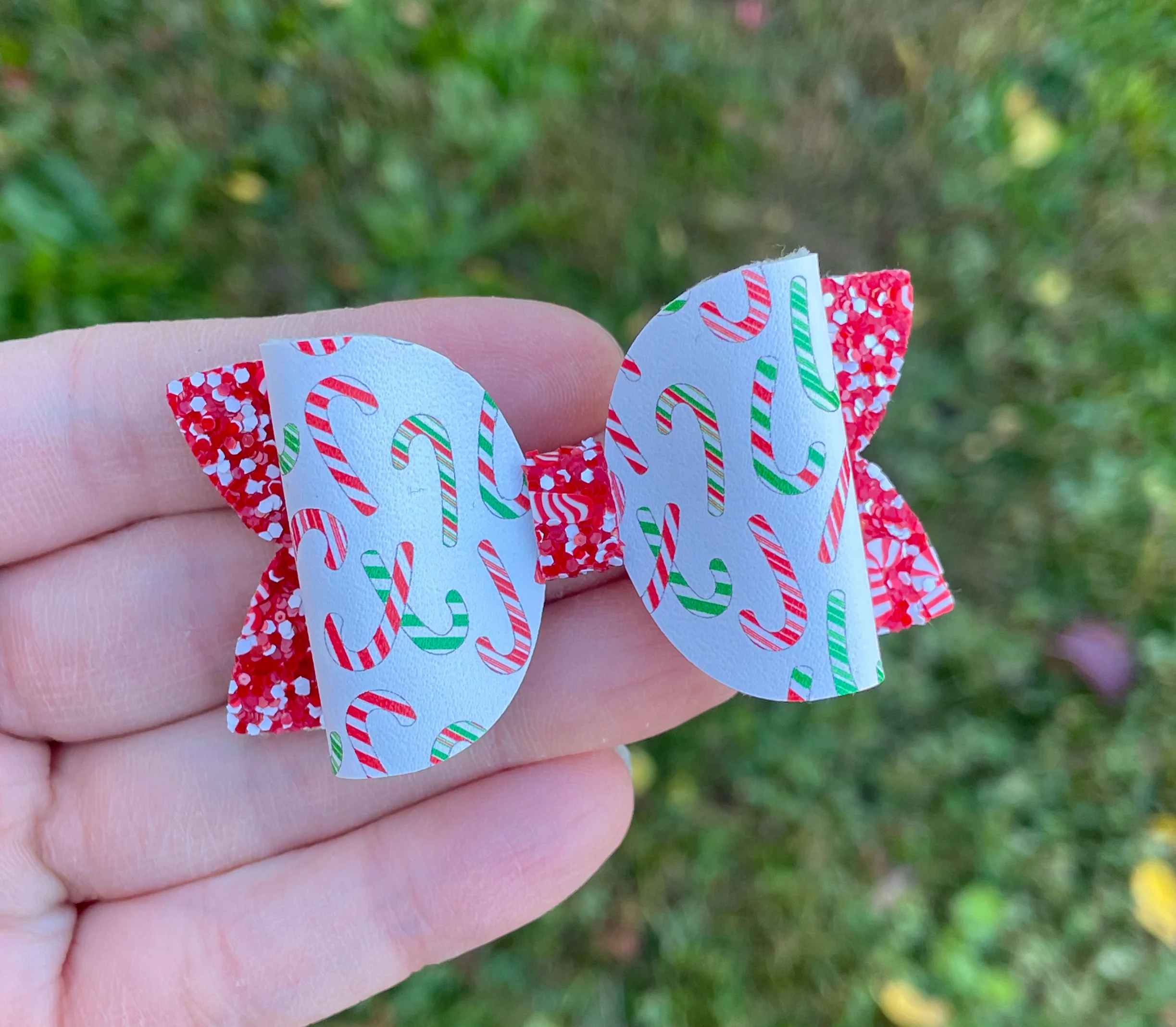 Candy Canes 2.5in Beauty