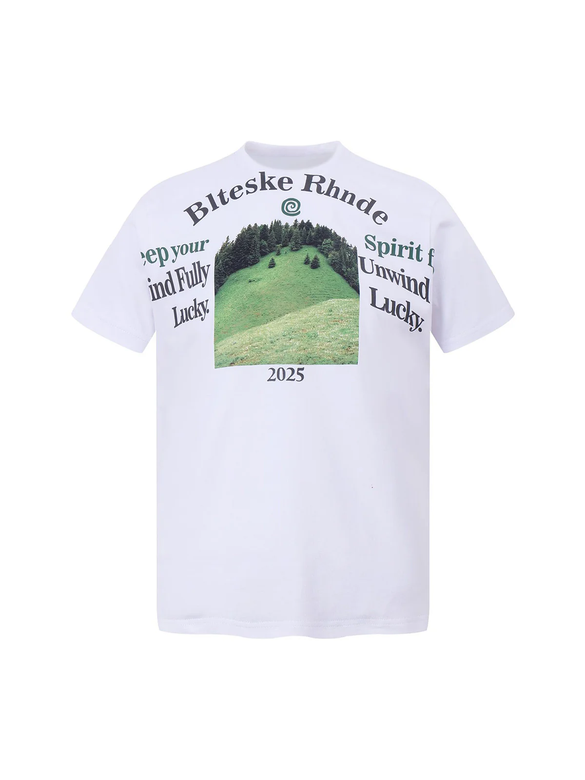 Graphic Scenic Print T-Shirt