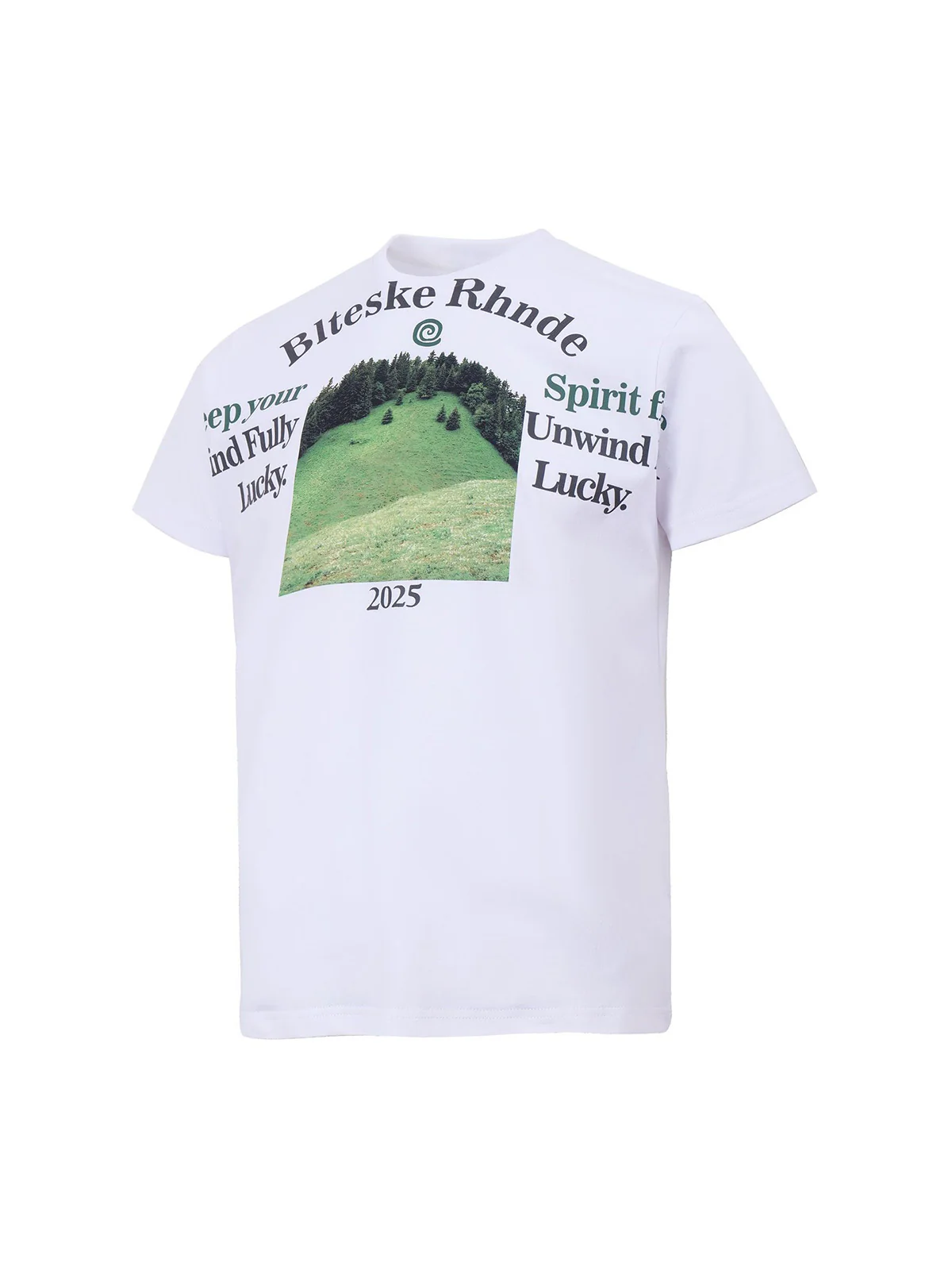 Graphic Scenic Print T-Shirt