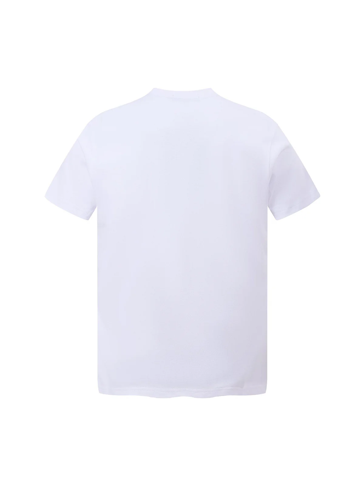 Graphic Scenic Print T-Shirt