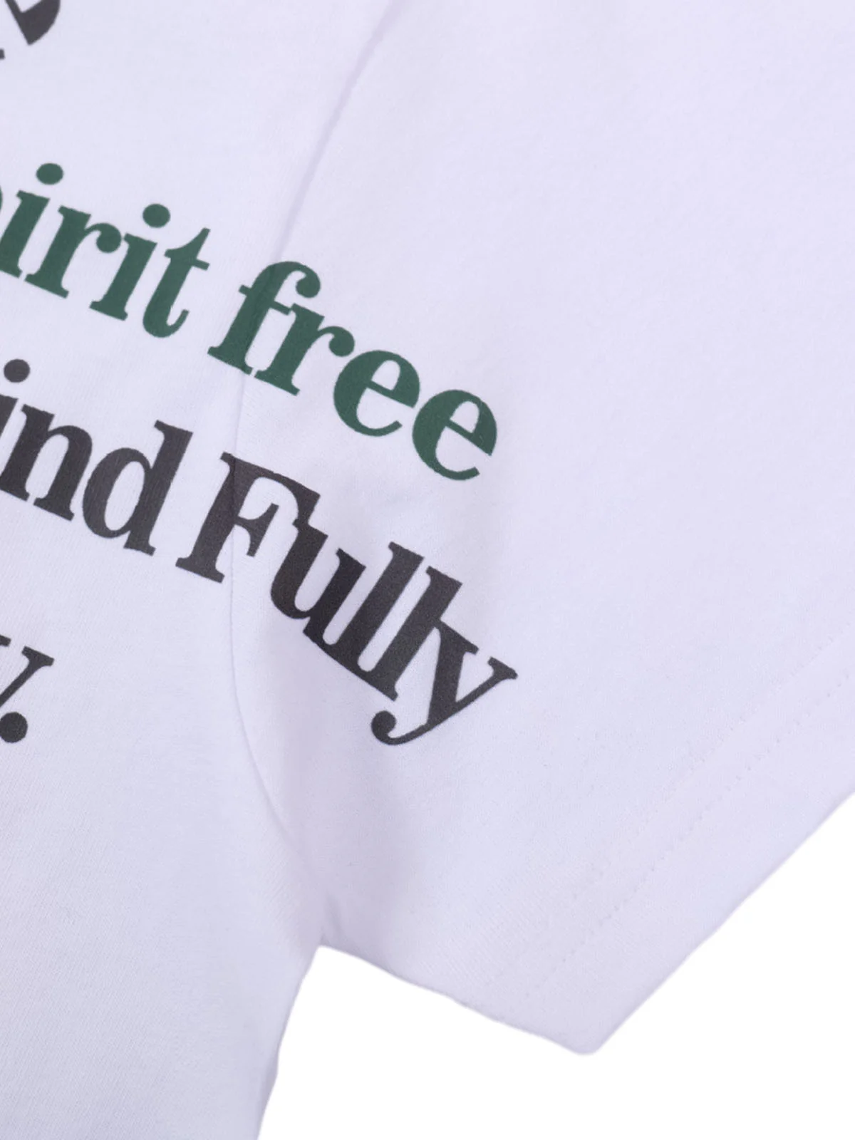 Graphic Scenic Print T-Shirt