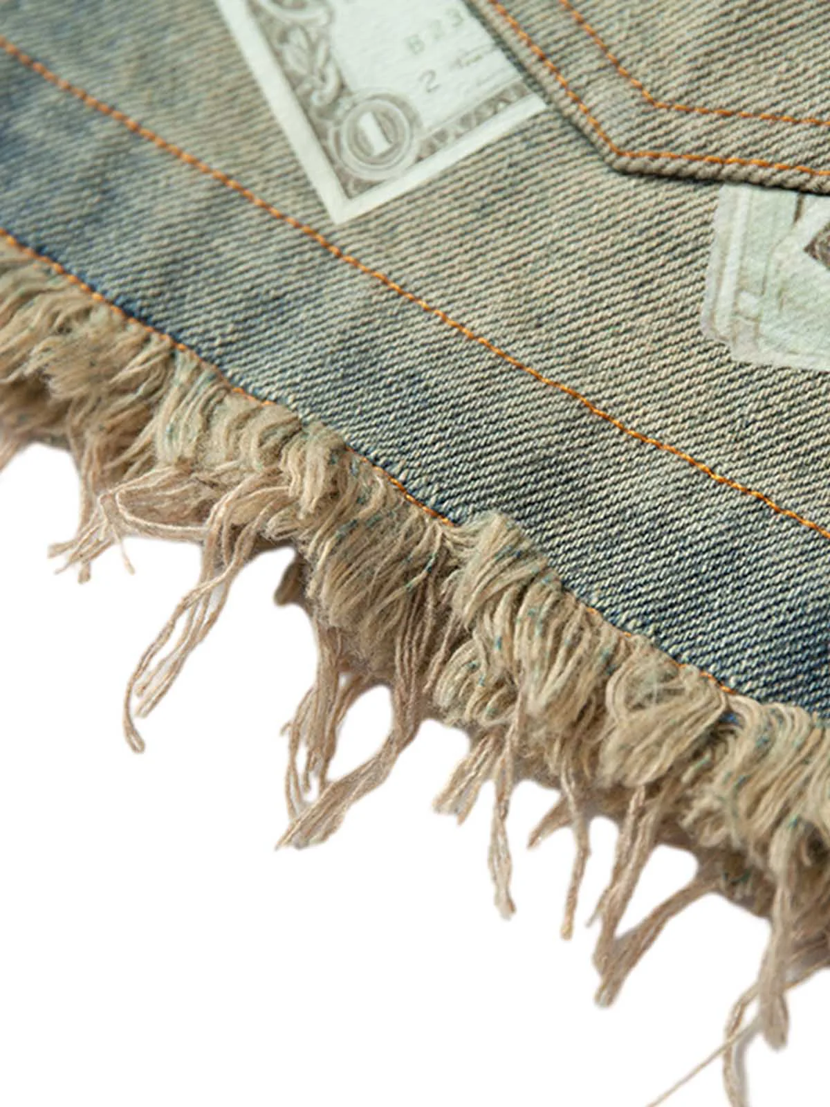 Gradient Washed Raw Edge Jorts