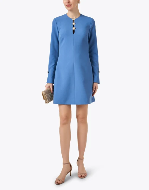 Blue Button Twill Dress