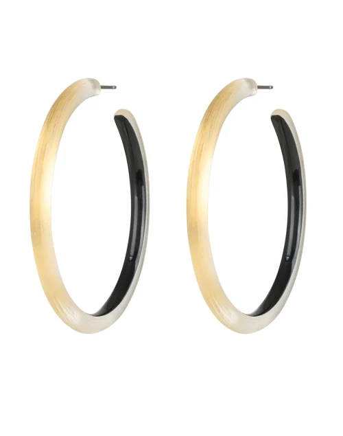 Gold Lucite Hoop Earrings