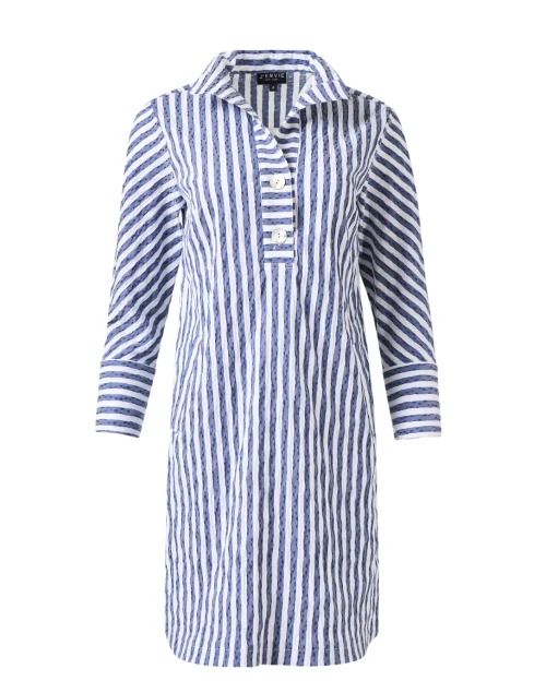 Indigo and White Striped Dress