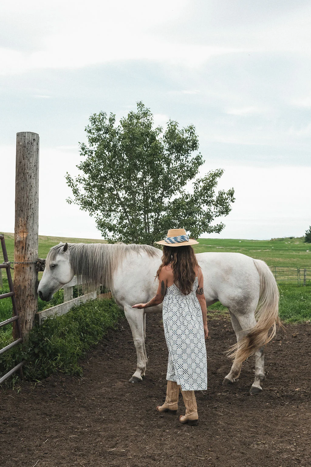 Daisy’s Block Dress