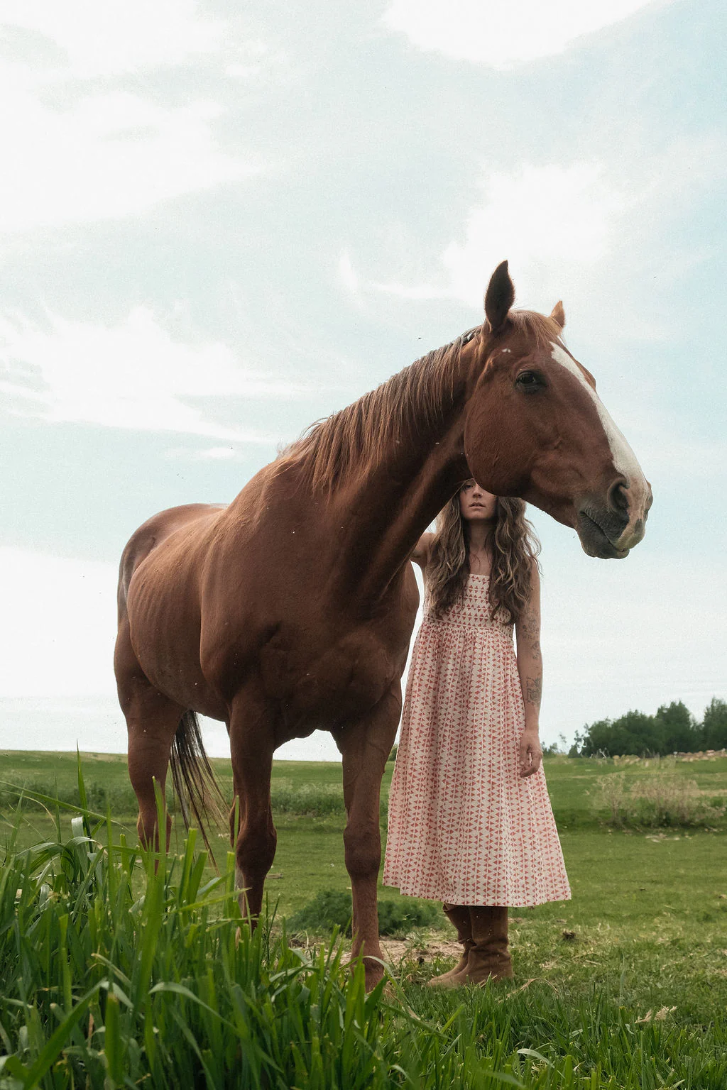 The Erica Dee dee SunDress