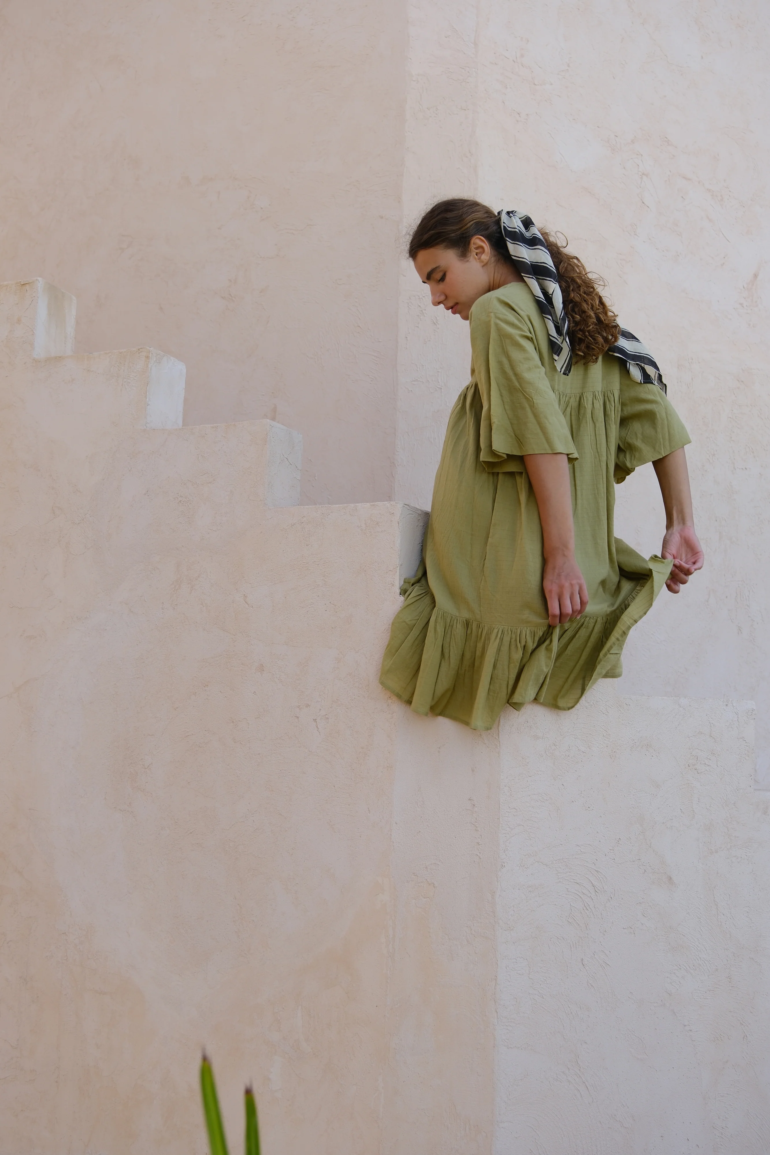 Zebra Stroll Bandana