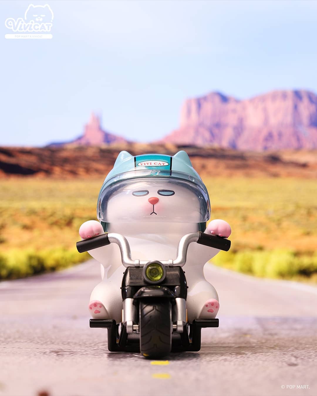 POP MART Vivicat Helmet Series