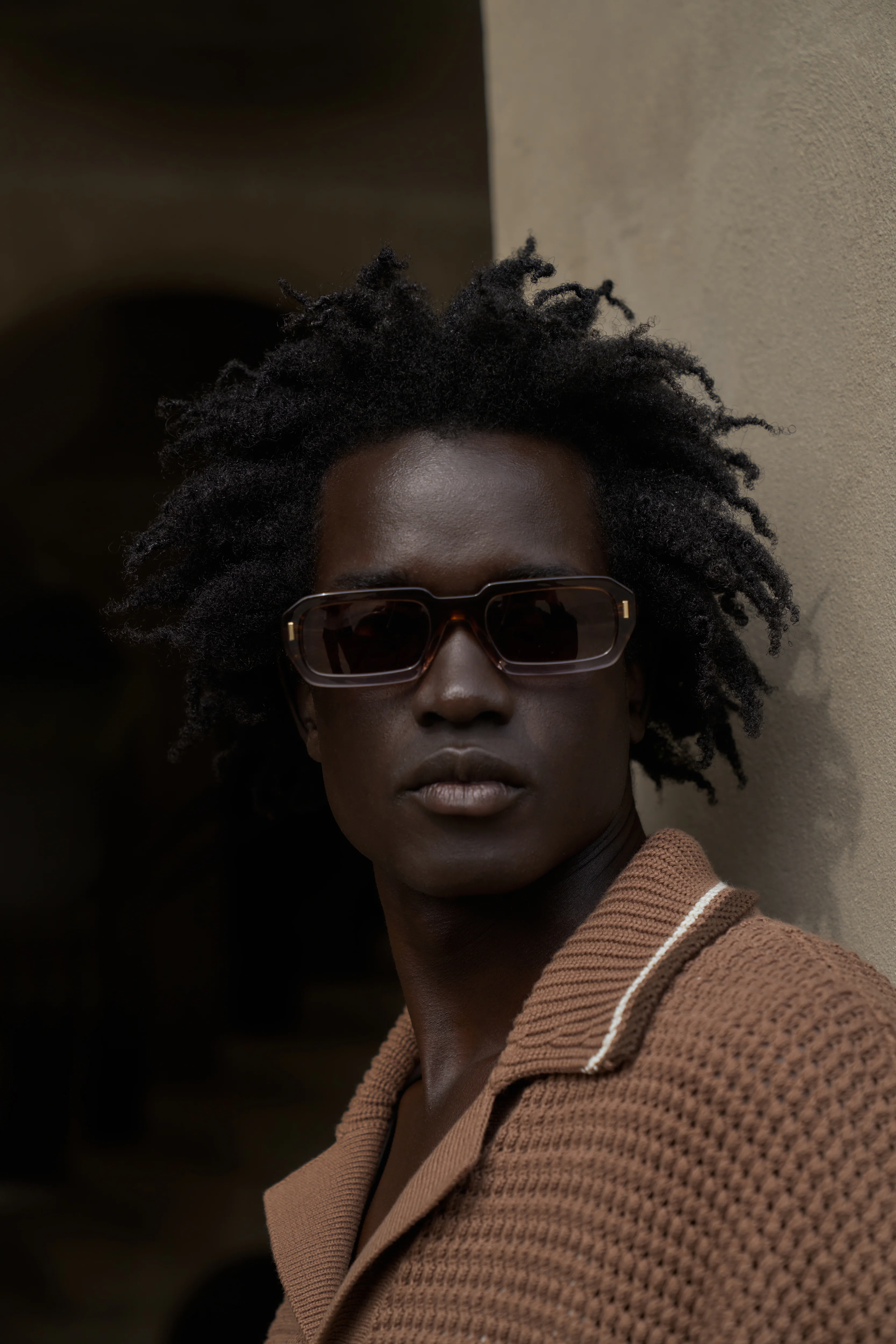 EMBLEM SUNGLASSES - BROWN