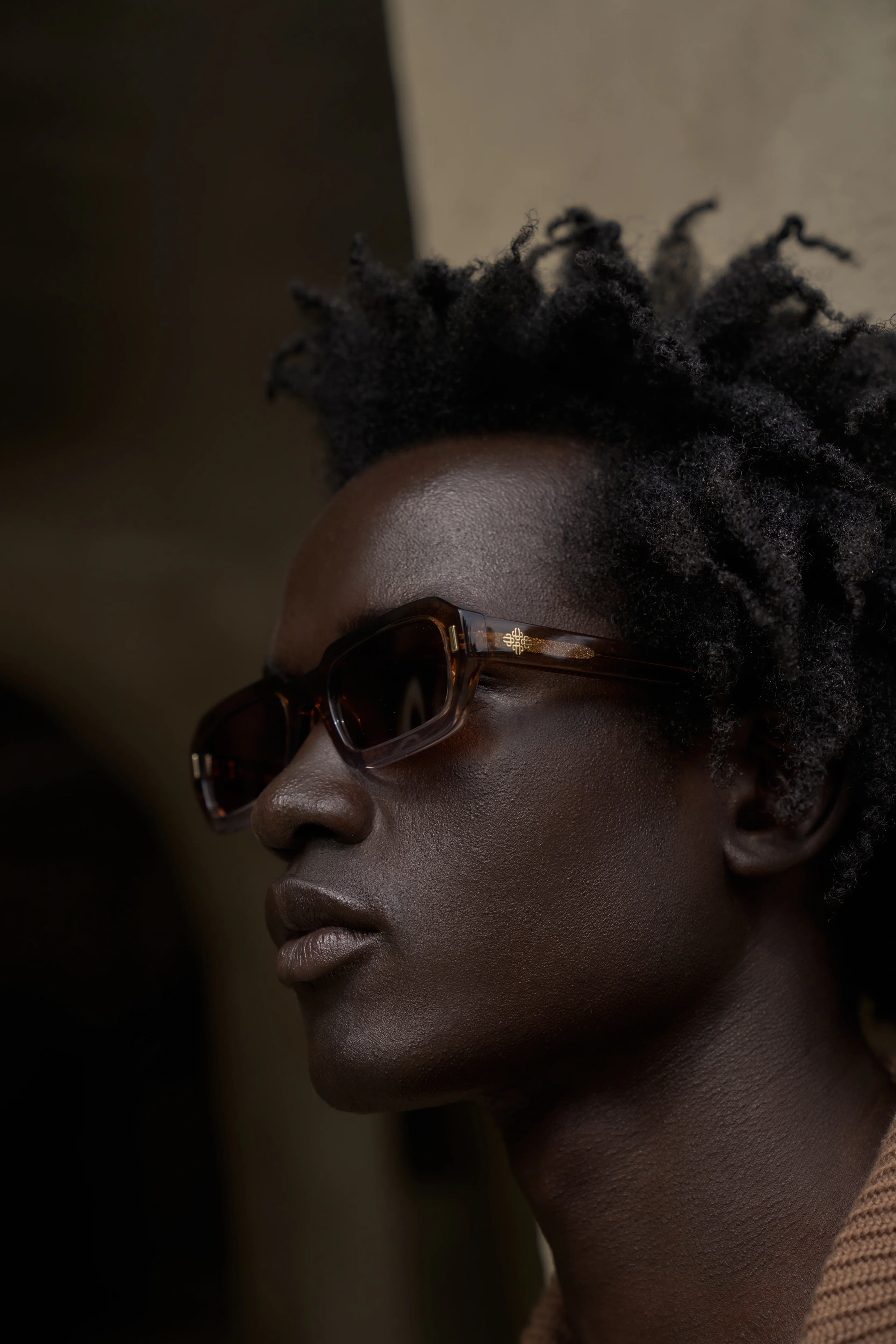 EMBLEM SUNGLASSES - BROWN