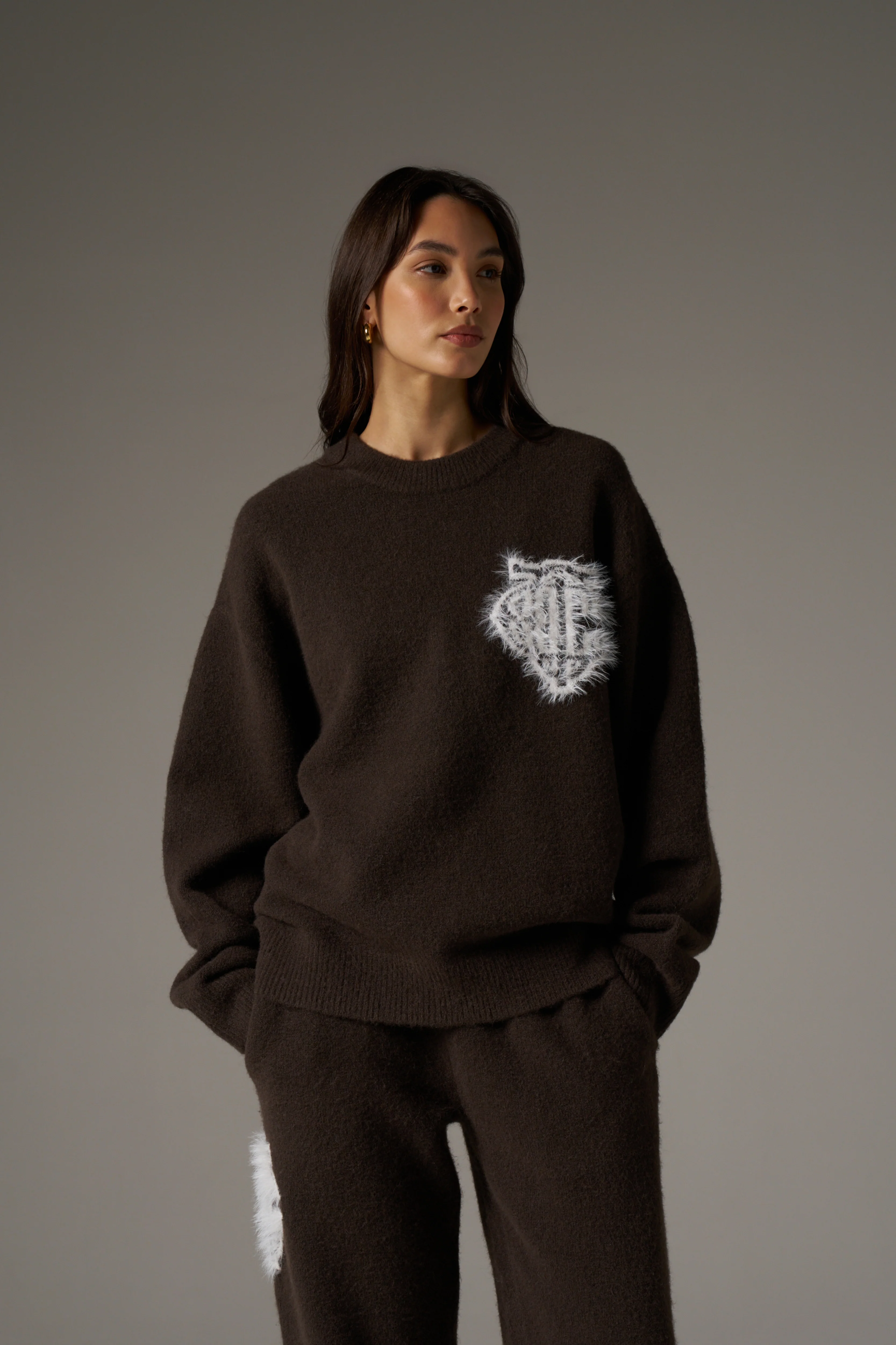 MONOGRAM EMBLEM FLUFFY KNIT CREW - BROWN