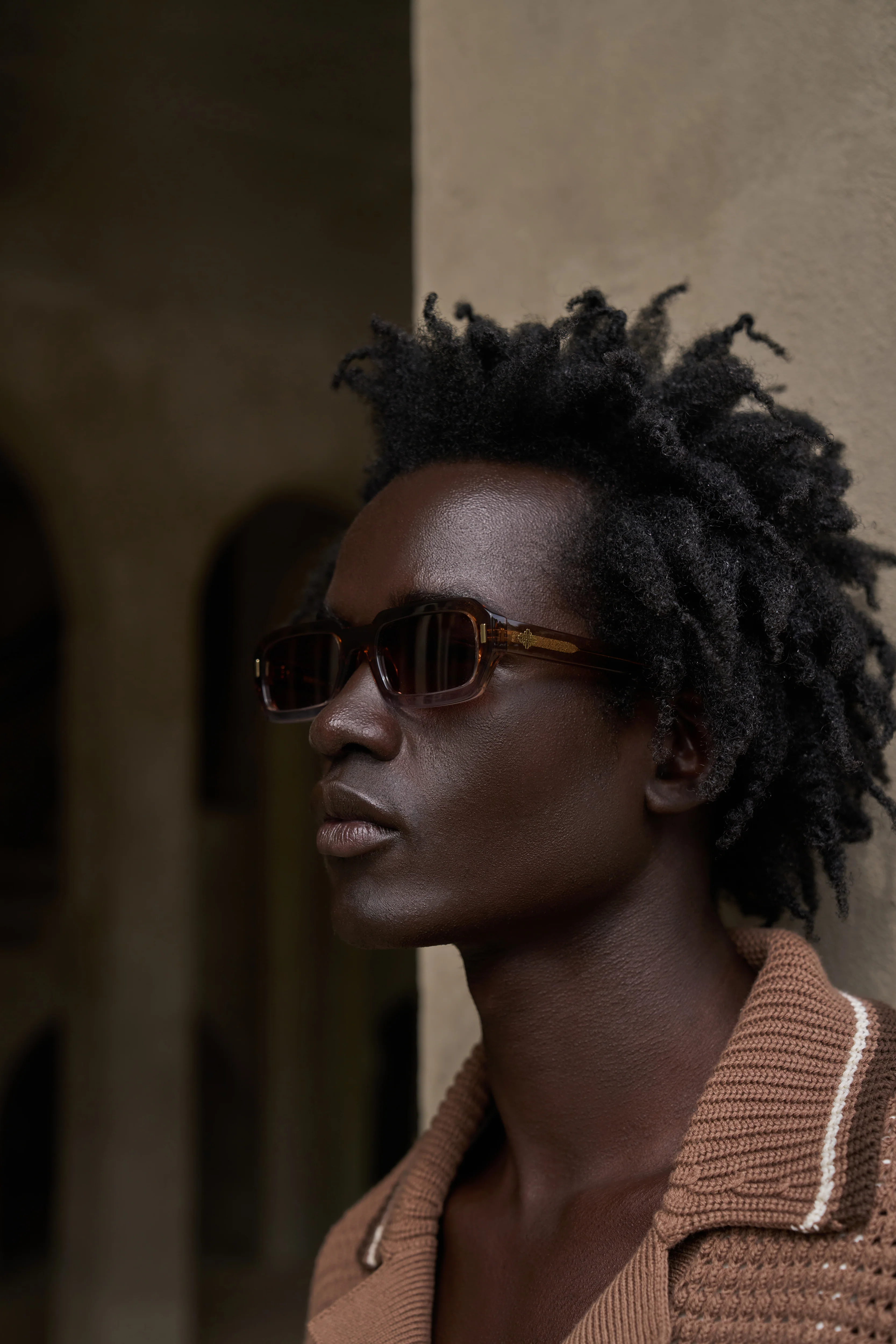 EMBLEM SUNGLASSES - BROWN