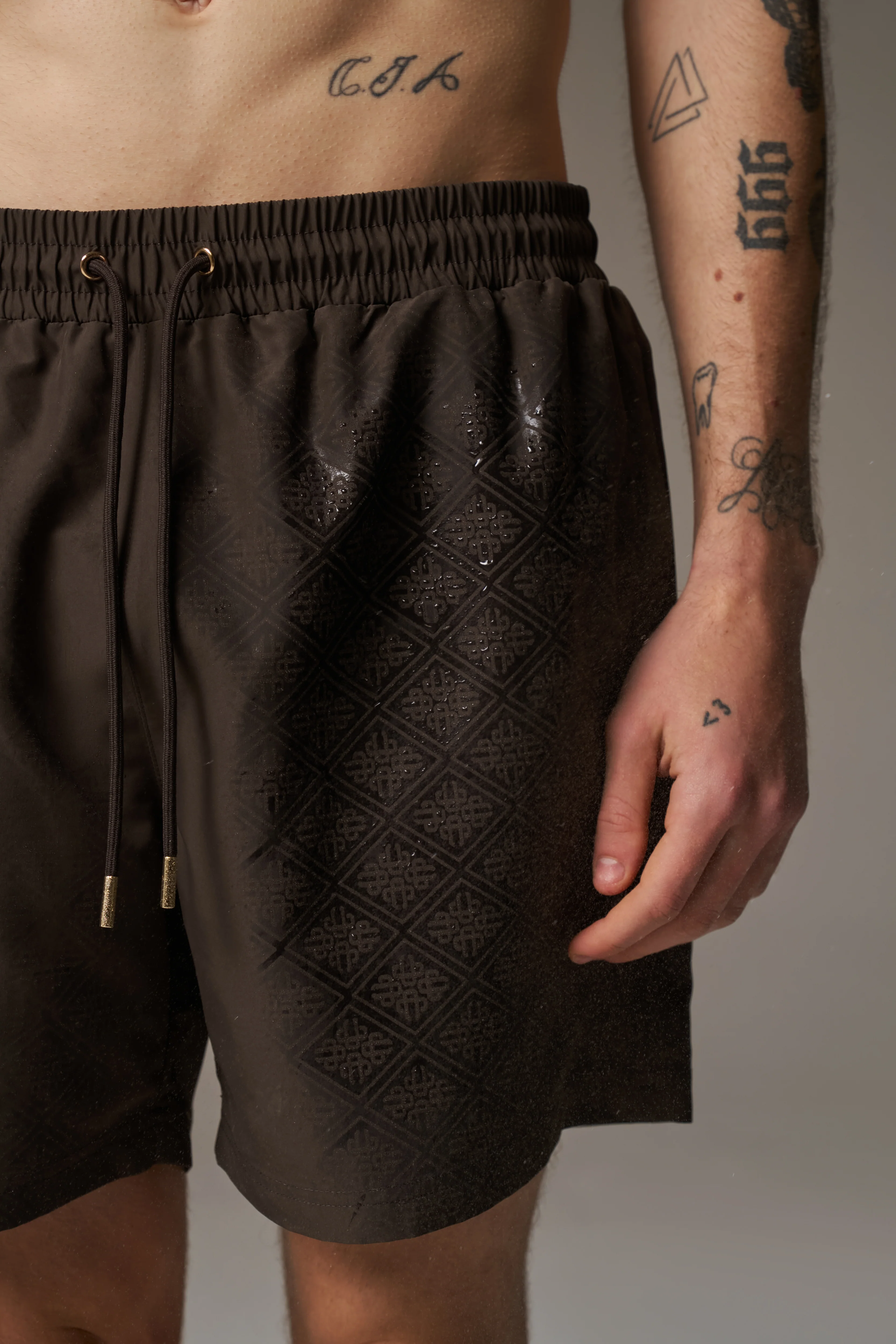 WATER REACTIVE EMBLEM SWIM SHORT - BROWN