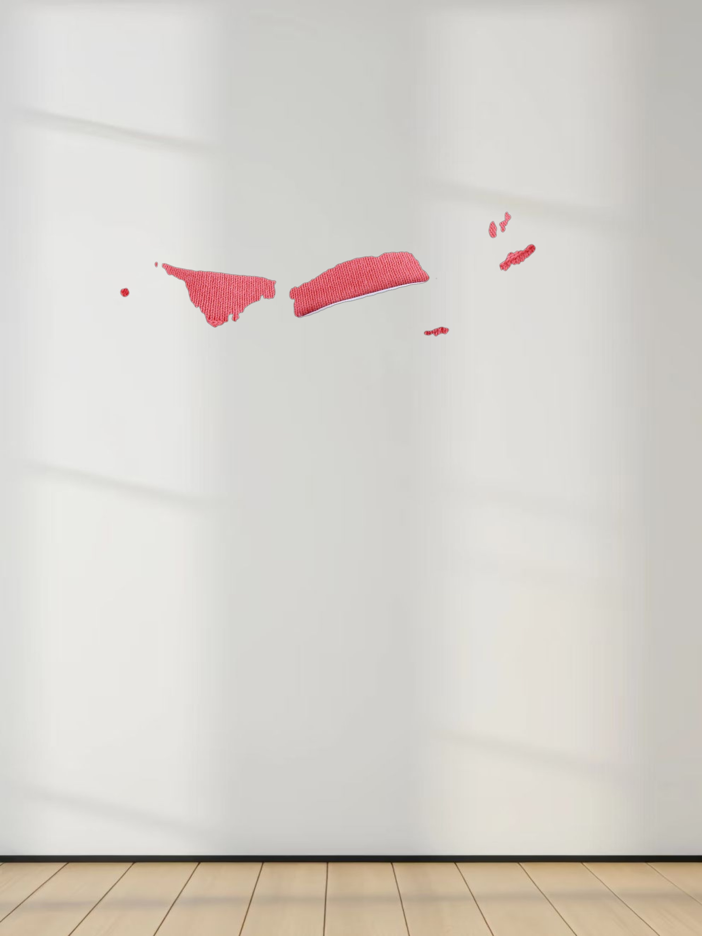 Sleeveless Ribbed Crew-Coral