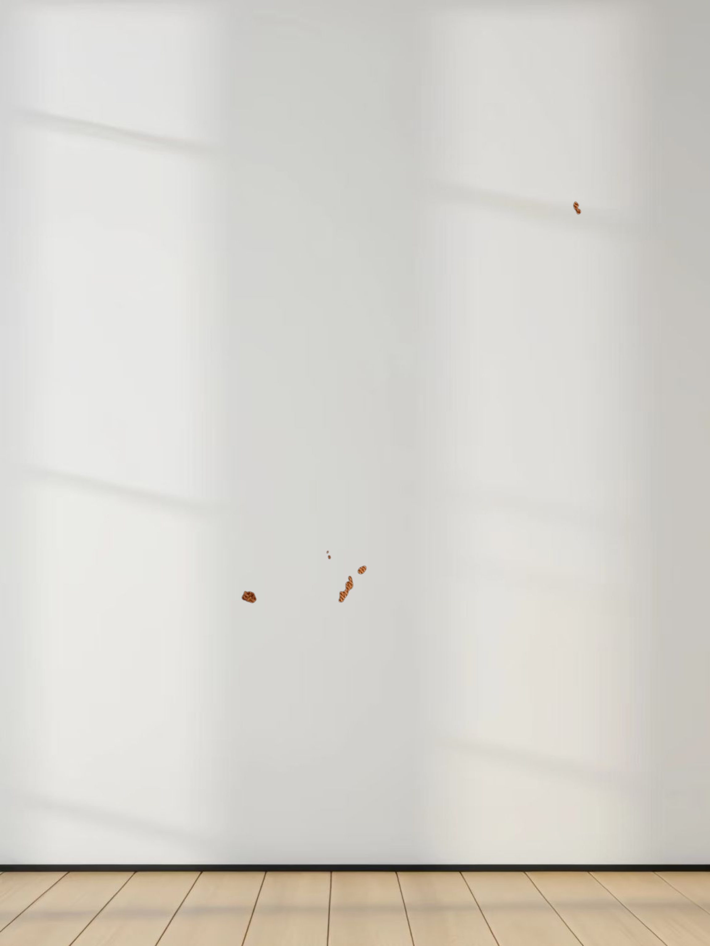 CLASSIC TEE LONG SLEEVE-BROWN