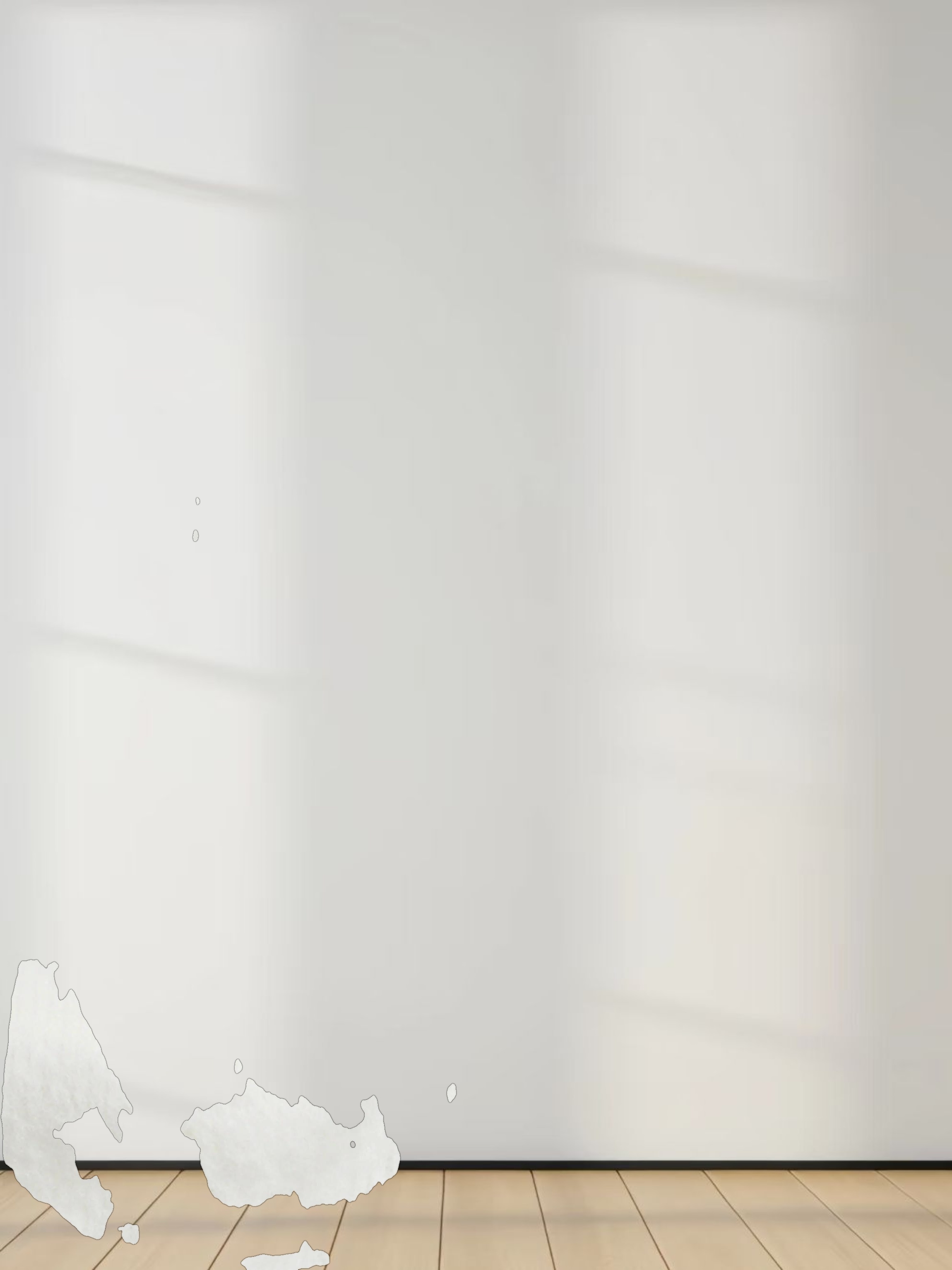 Embellished Sweatshirt-White/Black