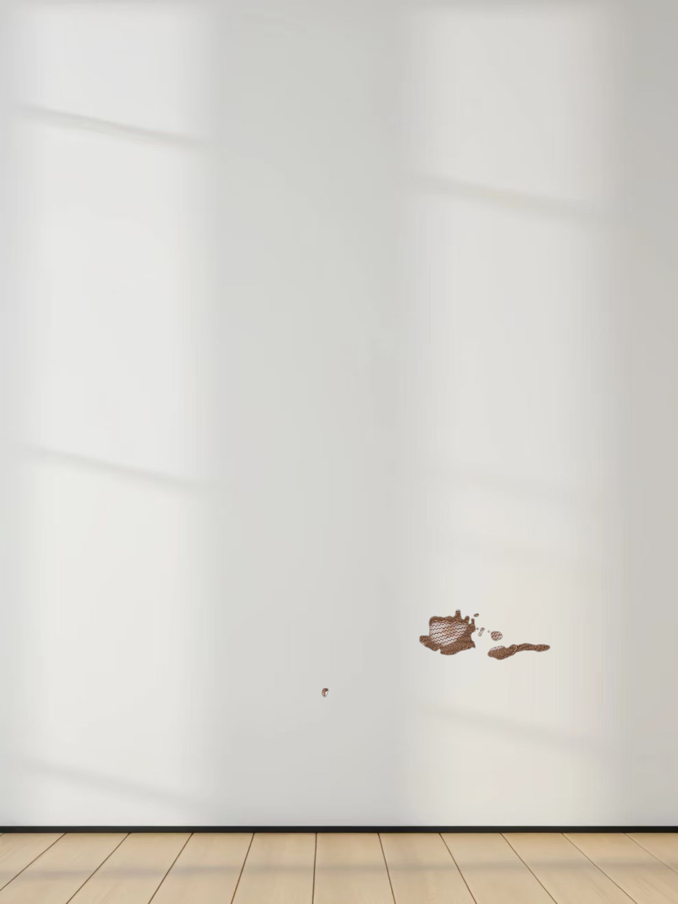 Lace Button Down Cardigan Top-Brown